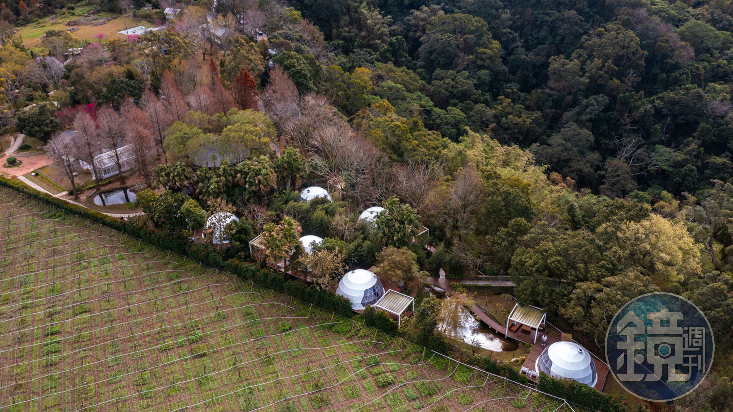 山野森活位於苗栗卓蘭的西坪台地，8間球形帳篷如珍珠般點綴山野間。