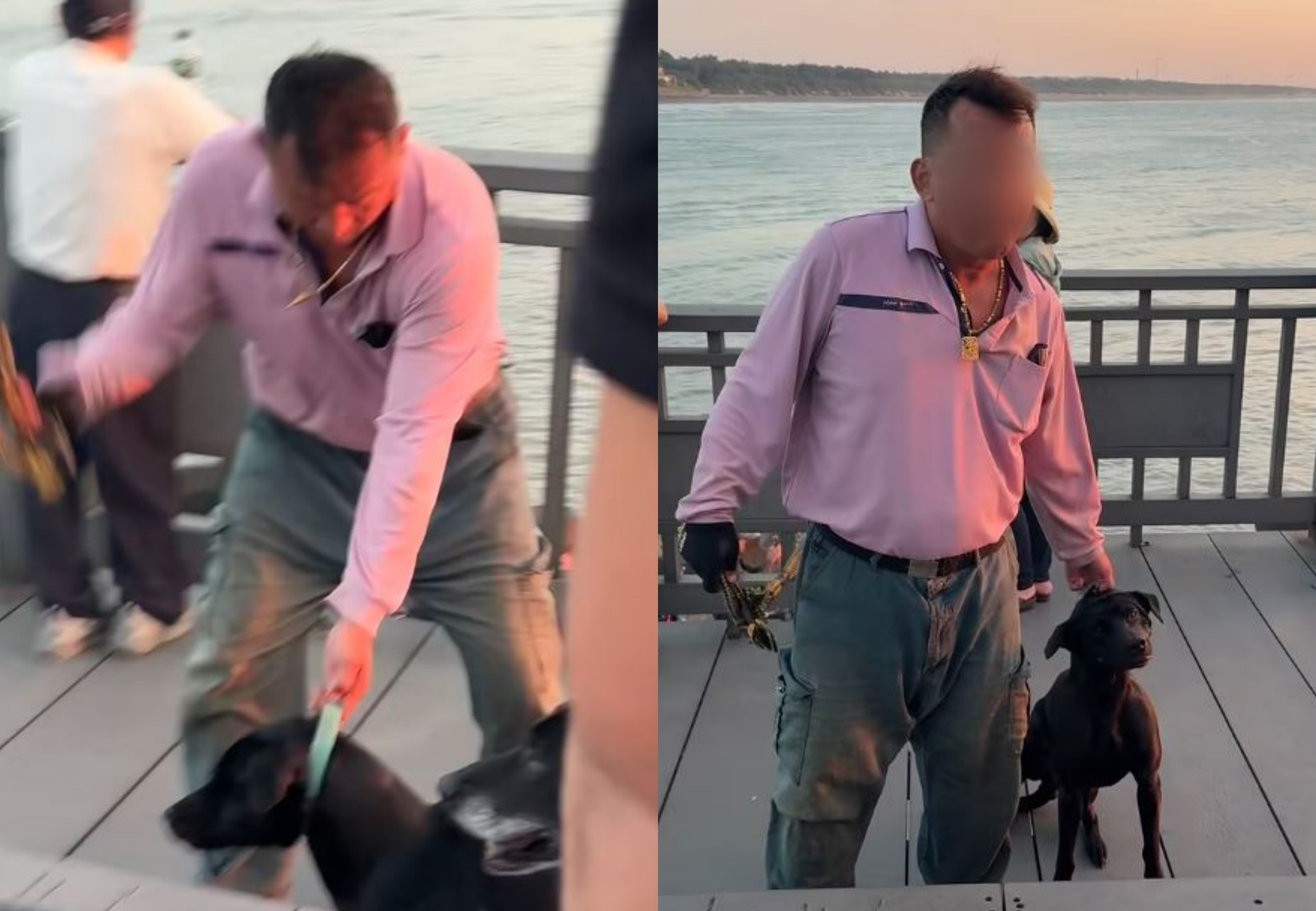苗栗龍鳳漁港日前發生飼主抽打愛犬的事件，飼主身分被曝光為竹南鎮公所外勤人員。（翻攝臉書社團「竹南大小事」）