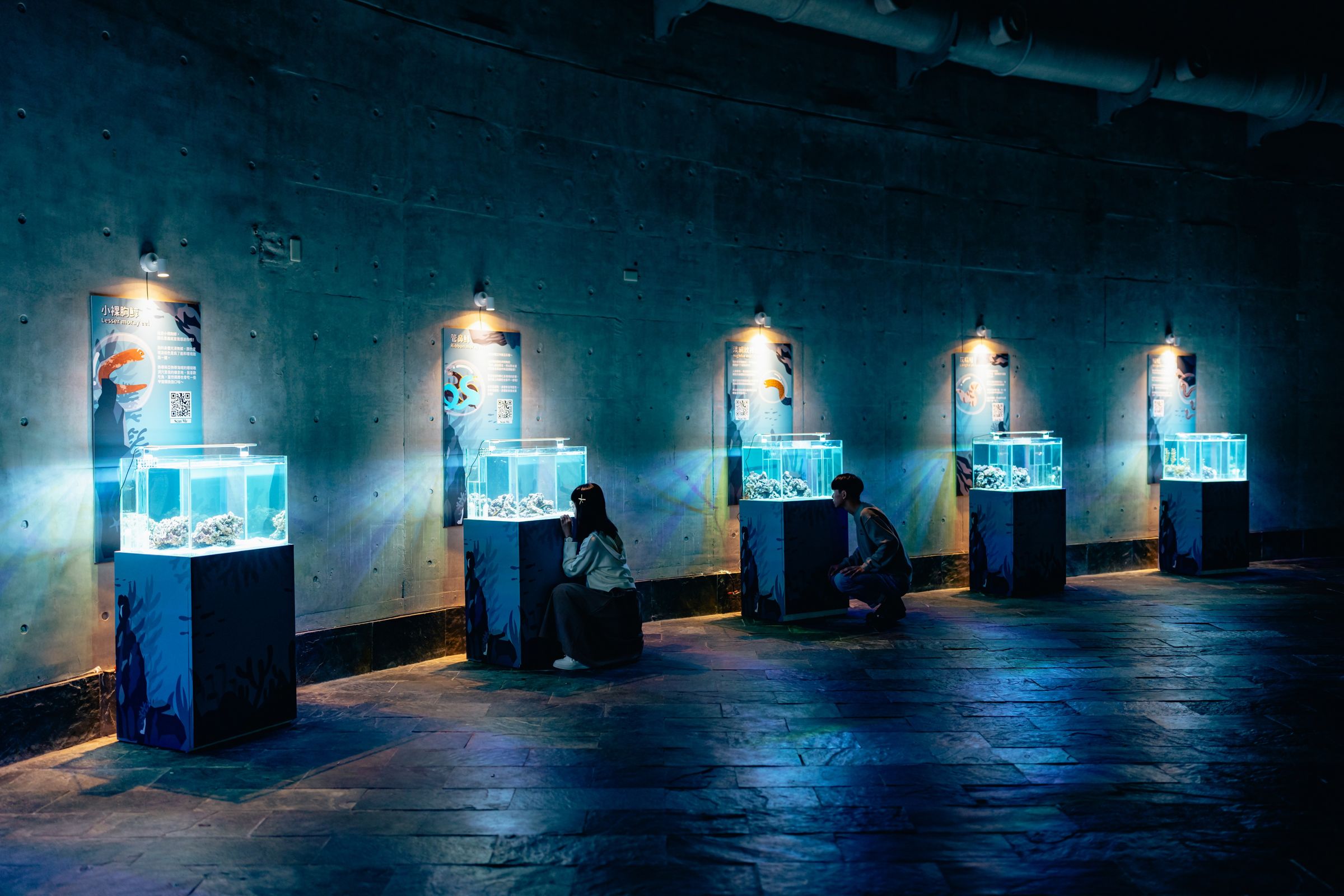 屏東海生館「我的鰻朋友」設置各種展區,讓民眾近距離觀察鰻類生物。(屏東海生館提供)