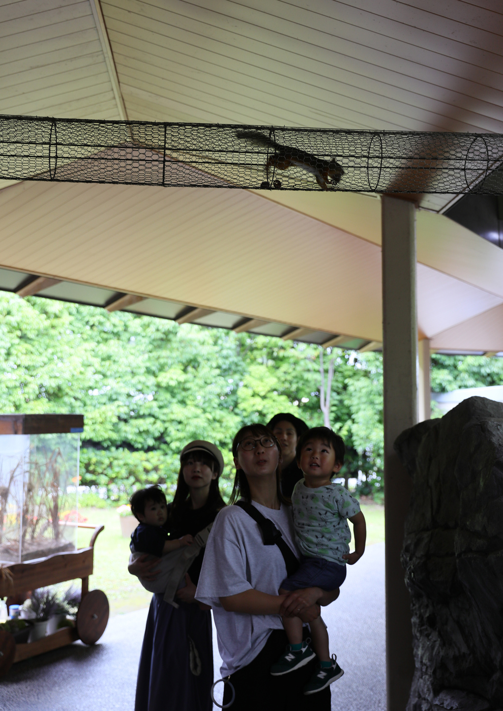 戶外空間是當地陸地動物的展區。