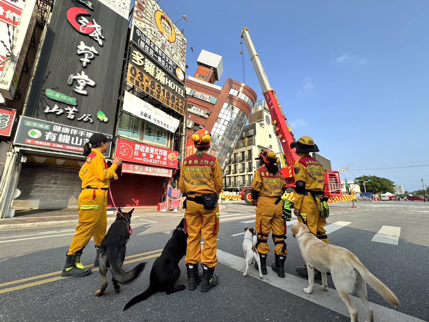 台東搜救犬也前往花蓮花王星大廈出任務。(翻攝自臺東犬壘打-臺東縣消防局搜救犬臉書)