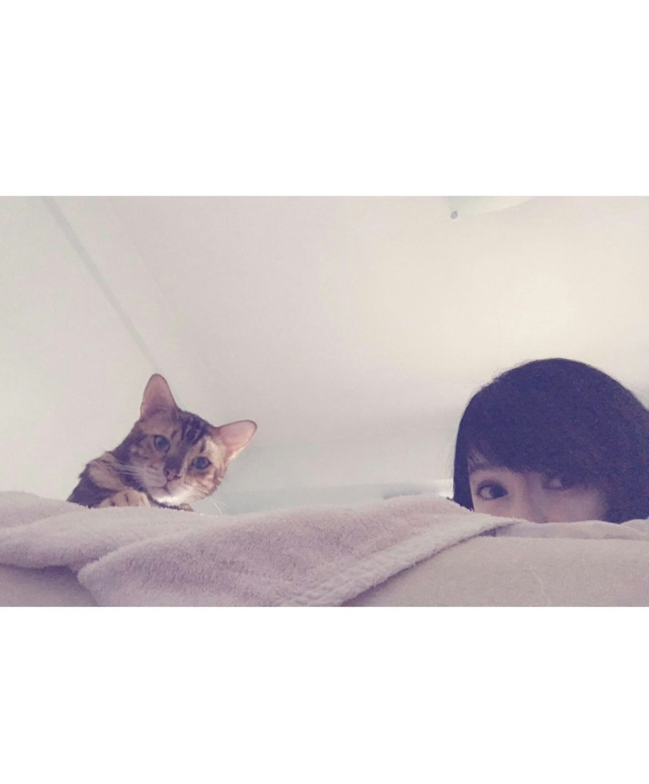 周慧敏與愛貓Mike。(IG)