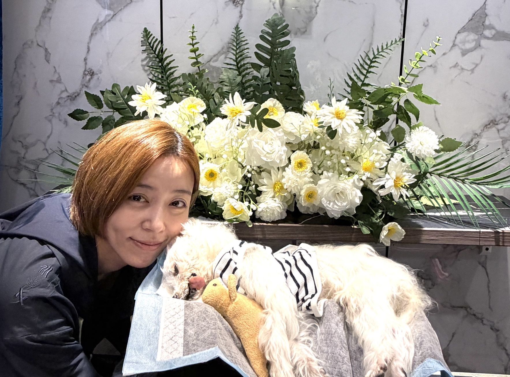 王瞳將愛犬哈嚕遺體送往寵物生命園區。本人提供