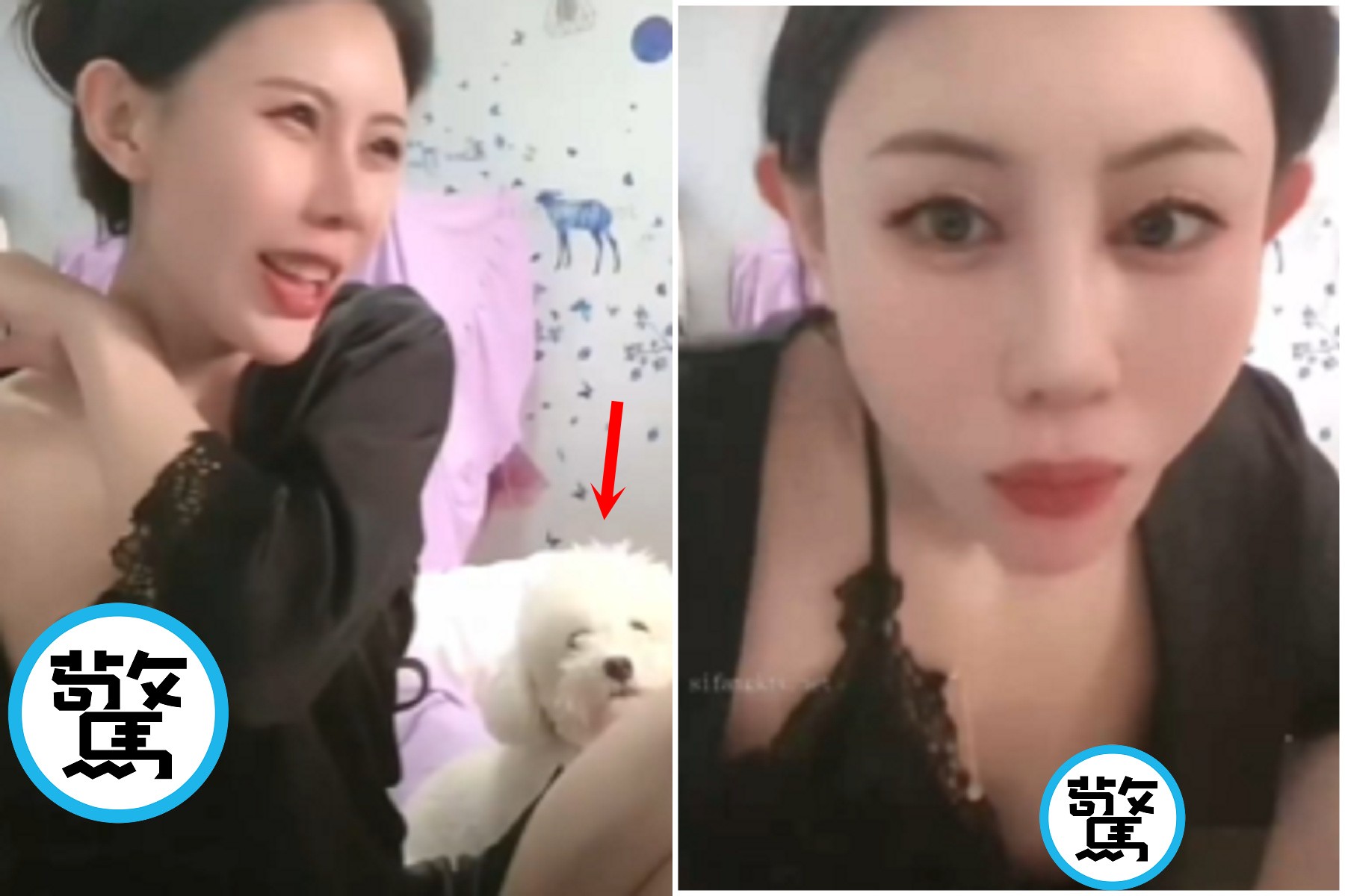 中國網美出狠招再進化！假調整衣服「流量密碼」全露，旁邊狗狗眼神有戲。（翻自《黑料網》）