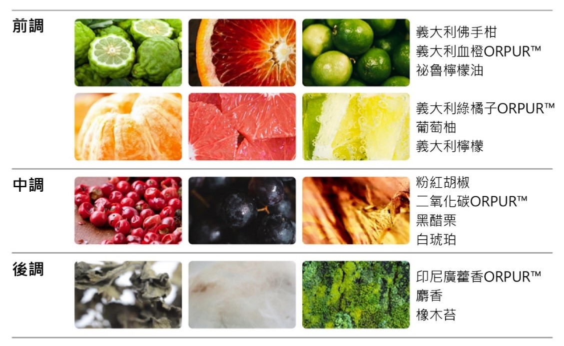 前調清新果香,結合佛手柑、血橙與檸檬;中調辛辣果香,粉紅胡椒與黑醋栗交織;後調則以深邃性感的廣藿香與麝香完美收尾。