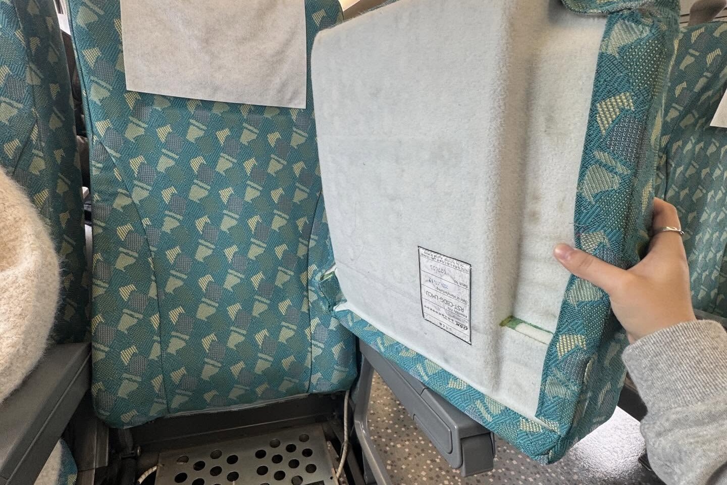 高鐵座位的椅墊可拆下作為防衛用具。（翻攝自threads@jmacc_lilian102625）