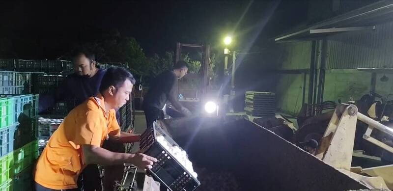 農業處指出,文雅畜牧場因雞蛋檢出芬普尼超標遭列管,案發後回收並封存的蛋品已全數處理完畢。(彰縣府提供)