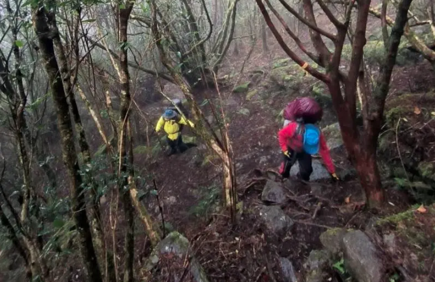 8名山友去年底在LINE揪團登南橫，途中黃姓女山友身體不適竟遭同行丟包。（台東縣消防局提供）