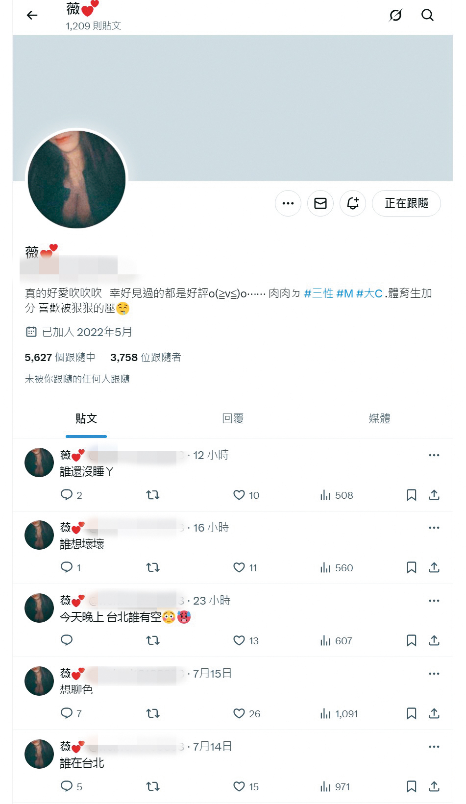 薇薇至今在個人社群上仍經常發表約砲文章，自介也是非常煽情。（翻攝自X.com）