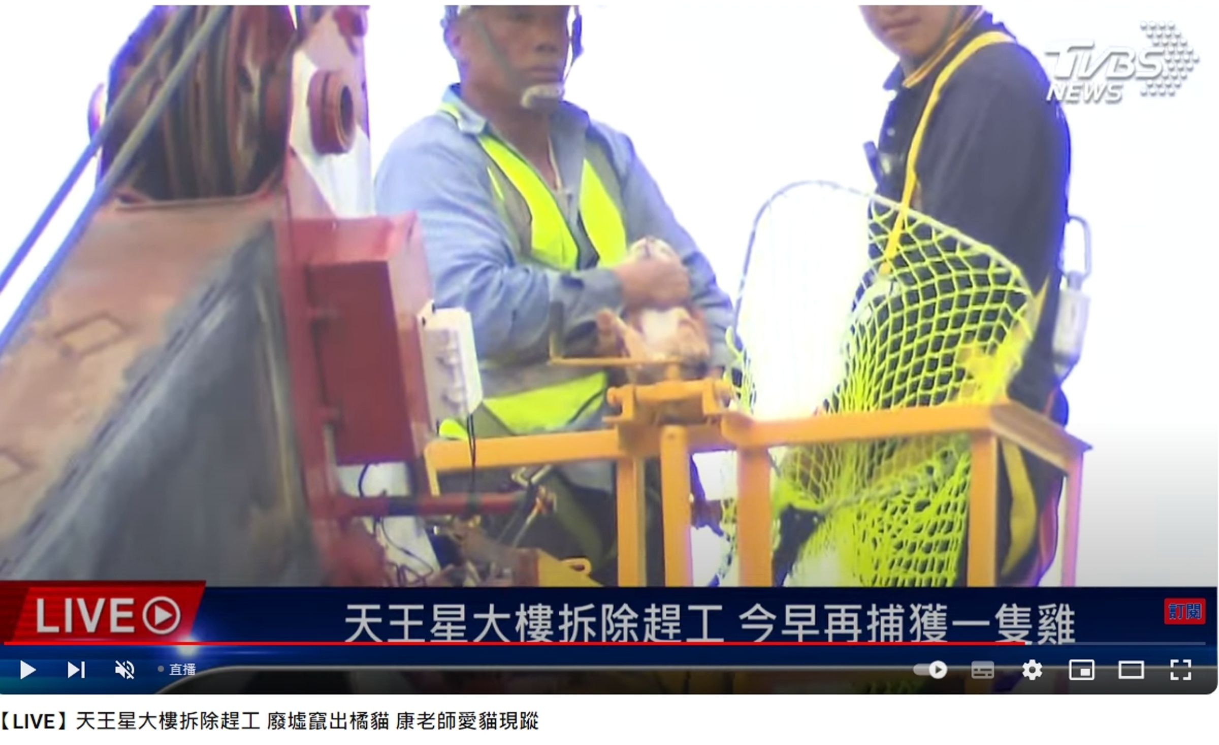 康老師的愛貓「貓咪」獲救送醫。(翻攝自TVBS NEWS YT頻道直播)