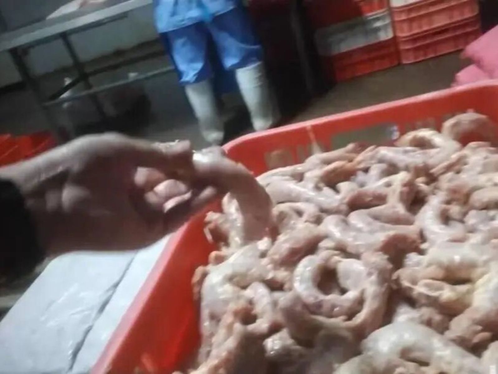 雞脖泥做水餃香腸!河南黑心廠加「牛肉膏」變牛肉丸 業者勸:餡類少吃