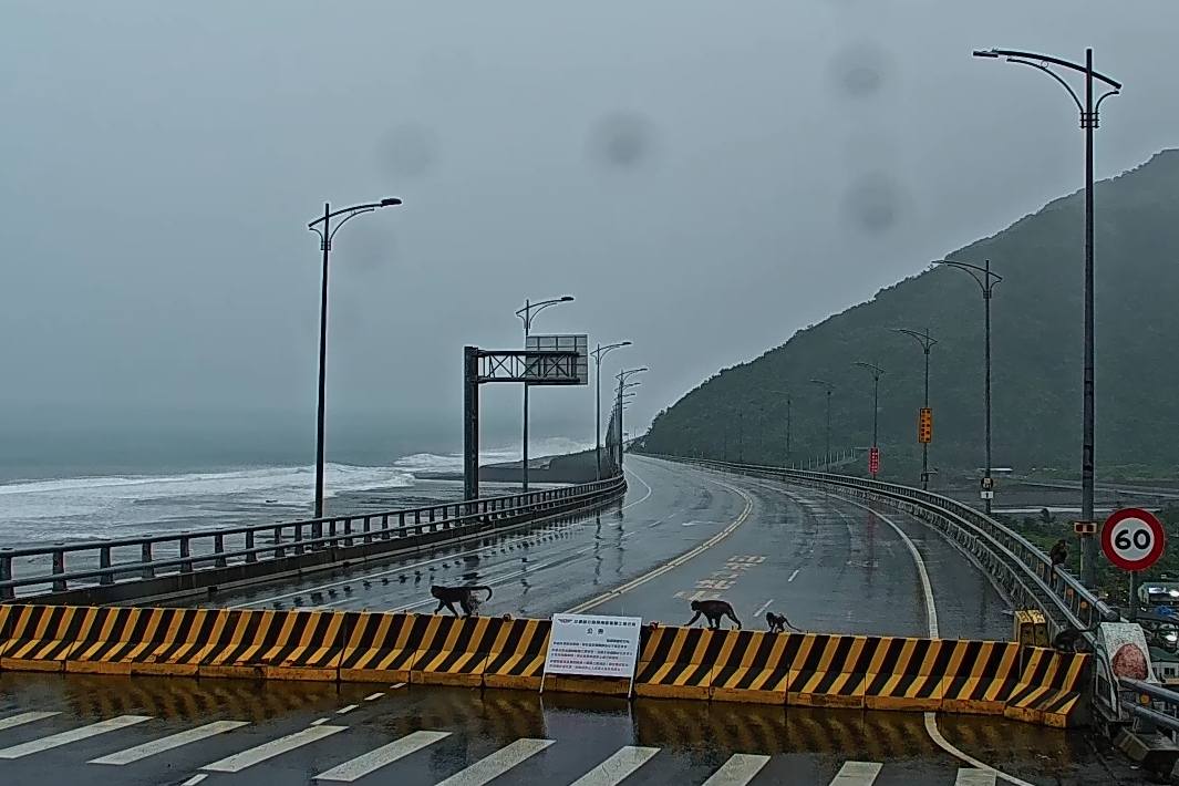 一群「猴囡仔」趁著颱風天觀浪，讓螢幕前的民眾看了又好氣又好笑。（翻攝自Amazing Taitung 台東就醬玩 YT）