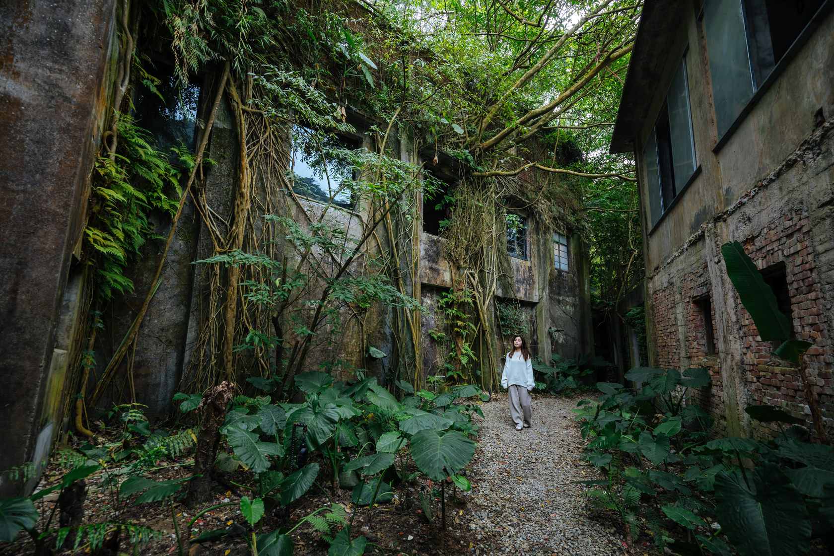 「無礦mineless」揭開三峽山古礦場的神祕力量，融合大自然，提供療癒場域。