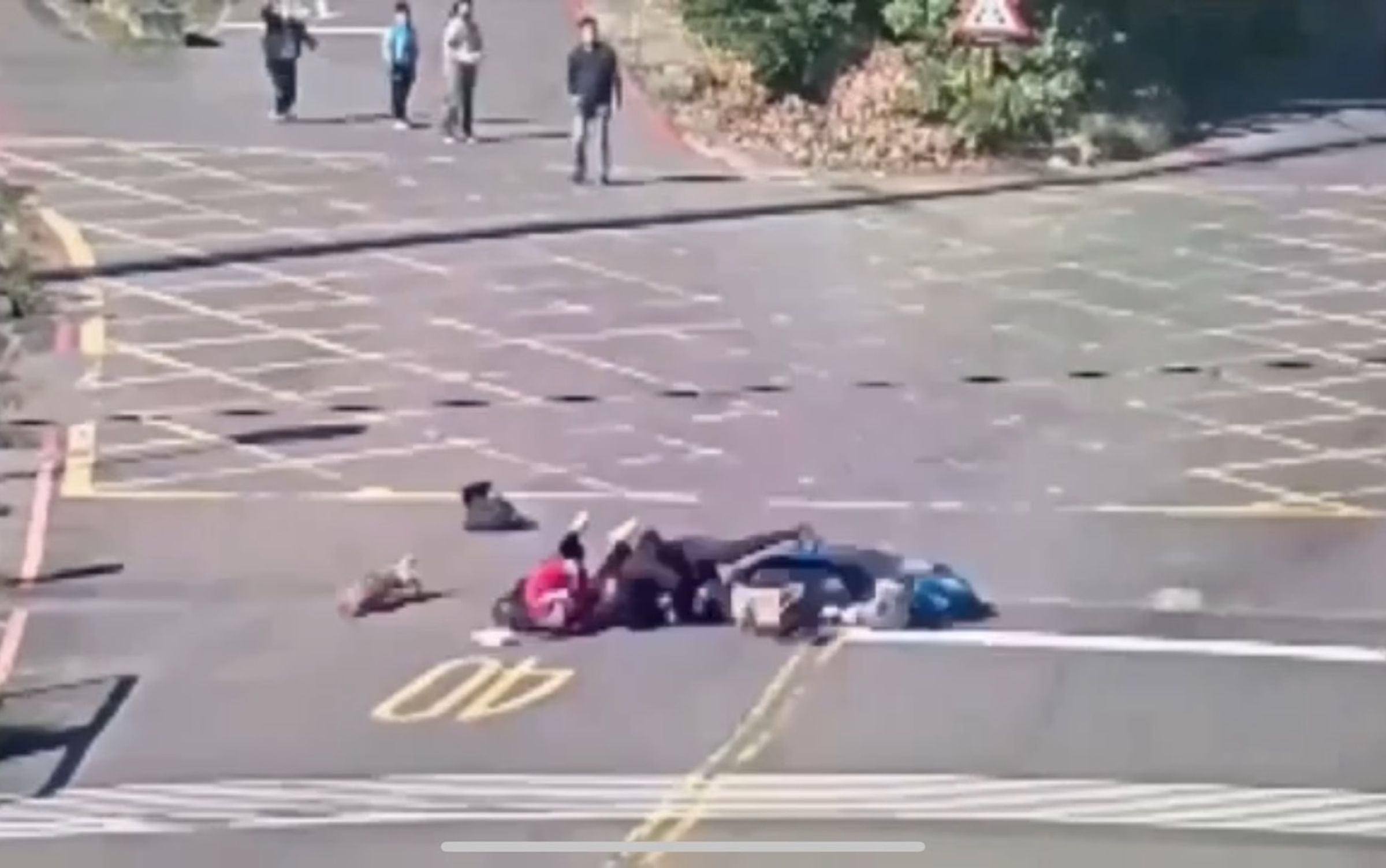 騎士行經路口閃避不及,直撞上小狗全都噴飛。(翻攝畫面)