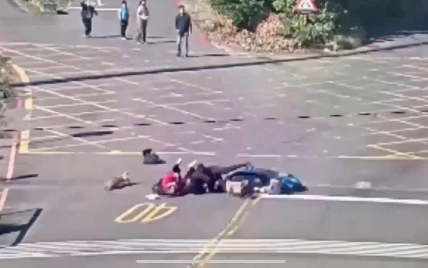 騎士行經路口閃避不及，直撞上小狗全都噴飛。（翻攝畫面）