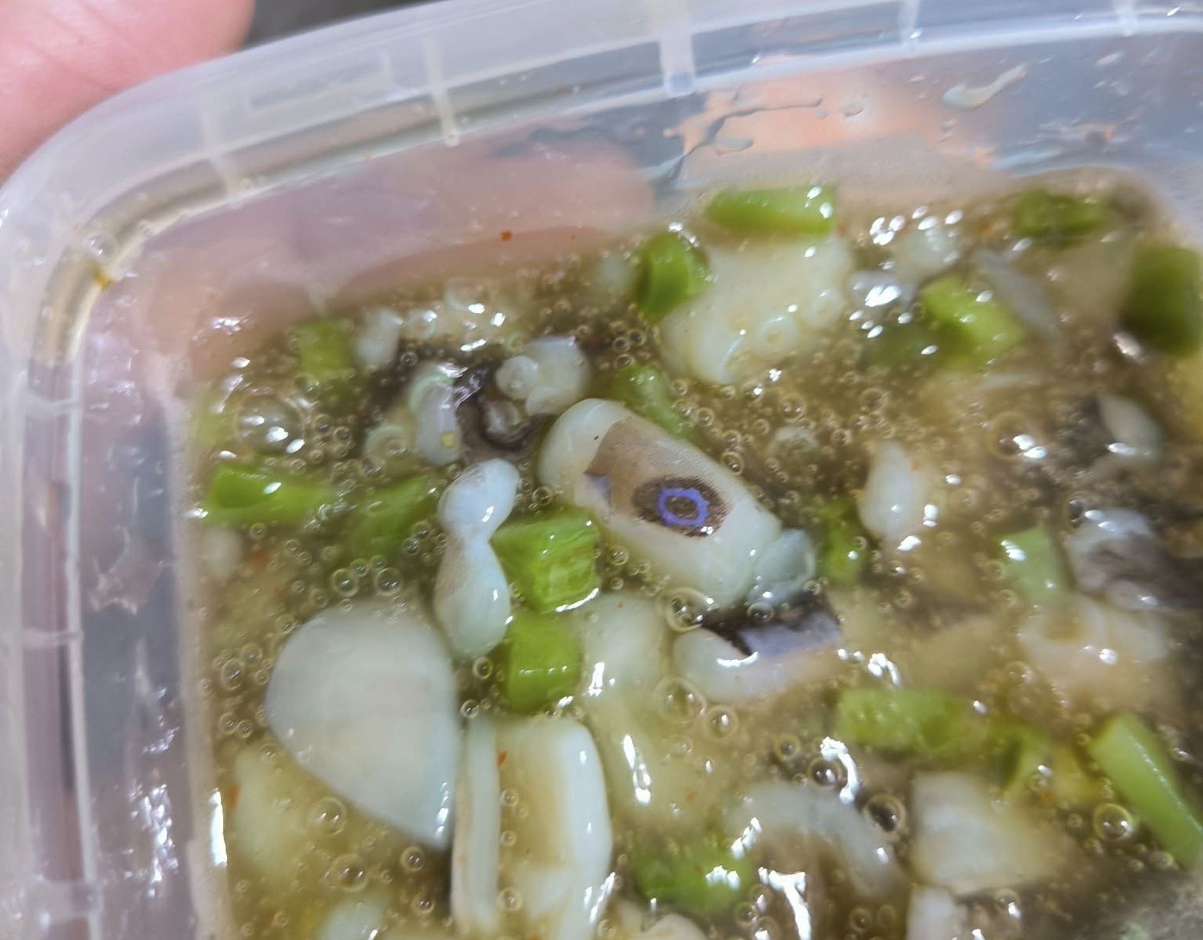有人疑似吃到有劇毒的「藍環章魚」,他當下馬上催吐去醫院掛急診。(翻攝自爆廢公社)