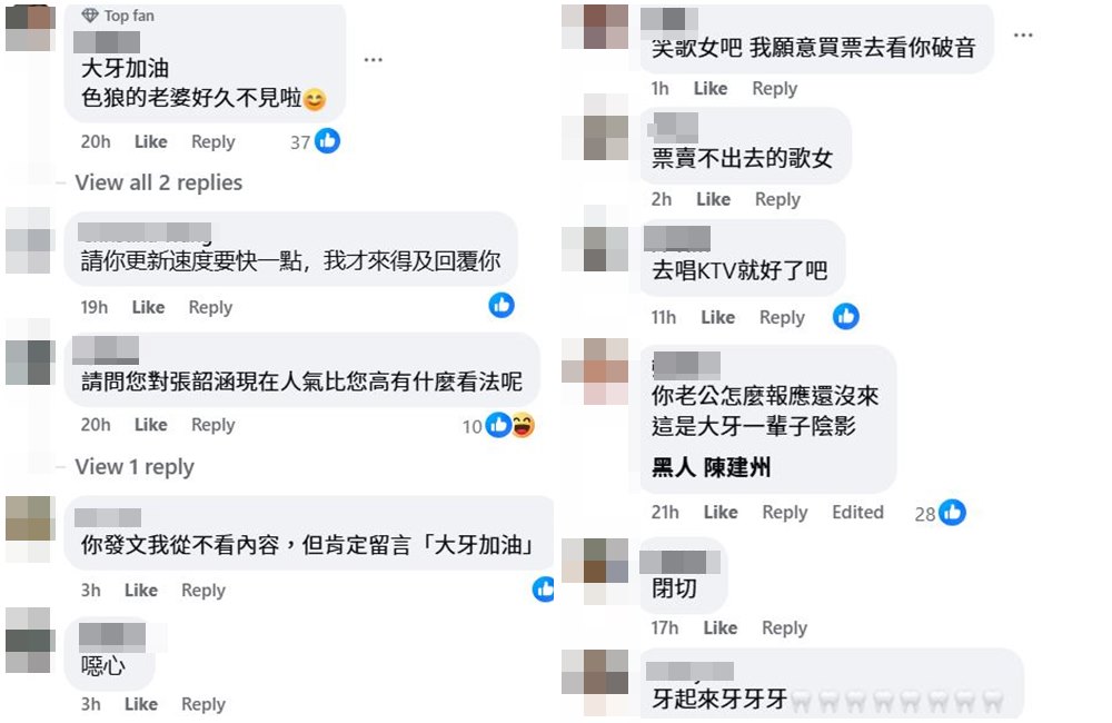 網友一面倒留言,狂酸范瑋琪。(翻攝范瑋琪臉書)