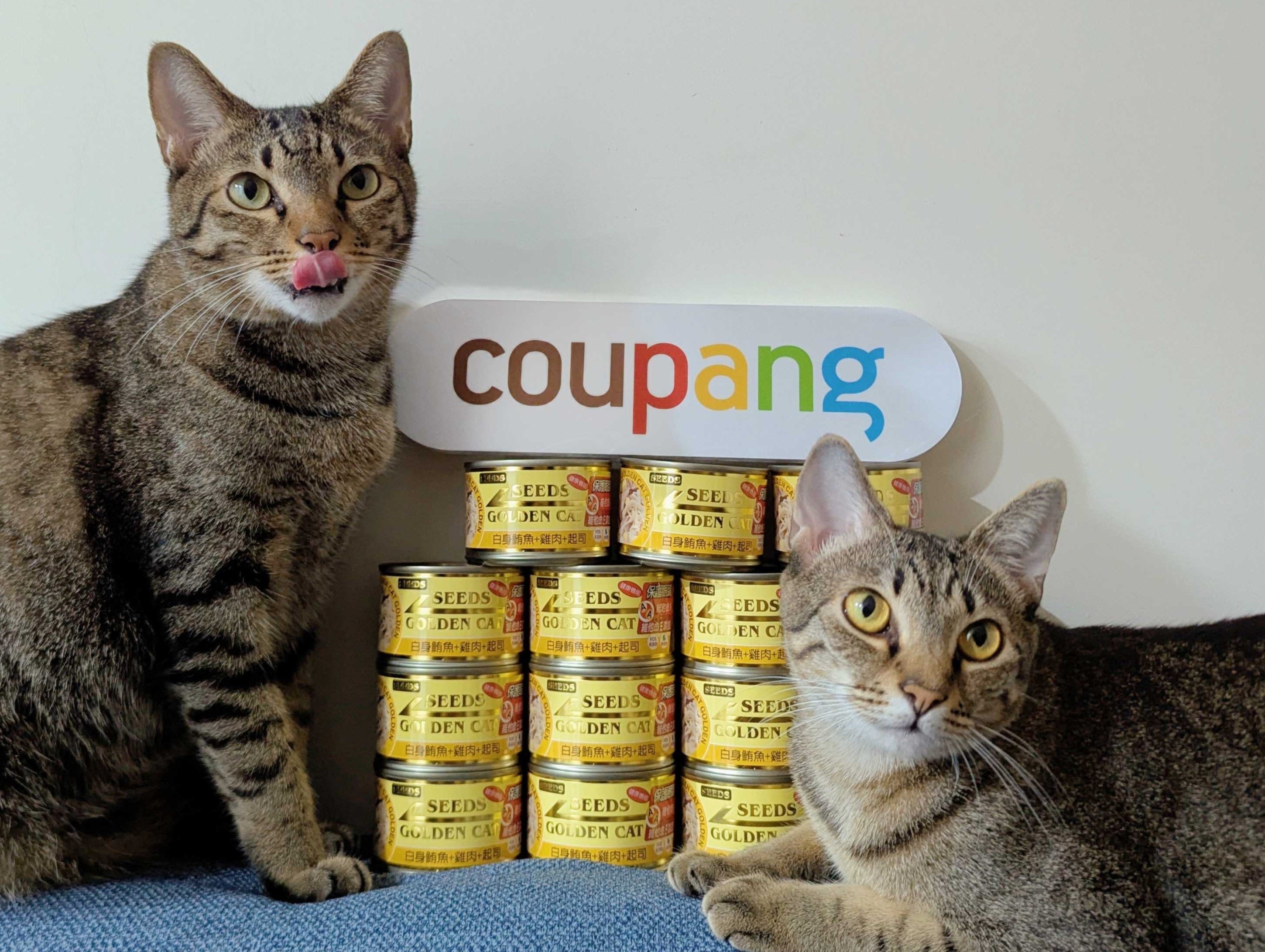 於Coupang酷澎購買惜時SEEDS指定系列貓罐，每組將捐出20元做公益。