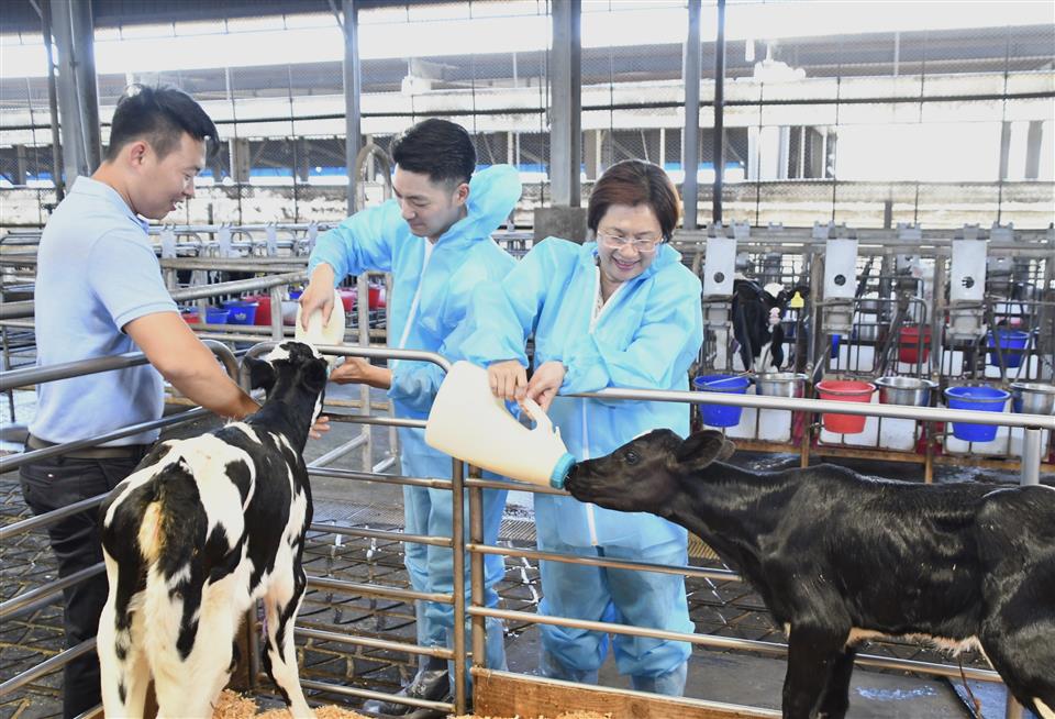 台北市長蔣萬安今（12）日前往彰化縣福興鄉的豪泉乳牛畜牧場二場參訪，彰化縣長王惠美親自接待。（彰化縣政府提供）