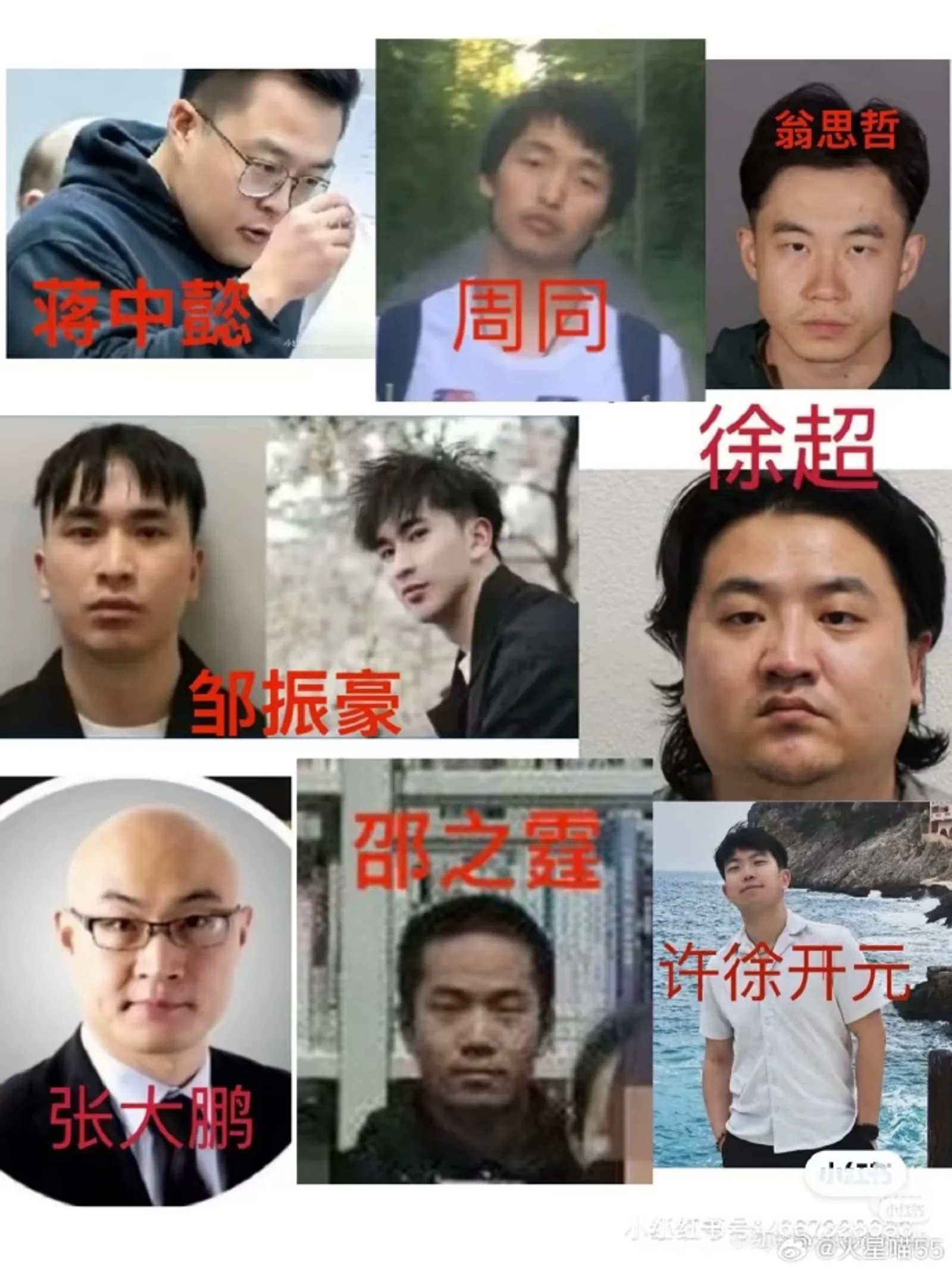 德國駕校」迷姦群組的核心成員多為中國籍留學生或高學歷份子，其中一名甚至利用醫學背景傳授如何迷暈被害女子。（翻攝微博）
