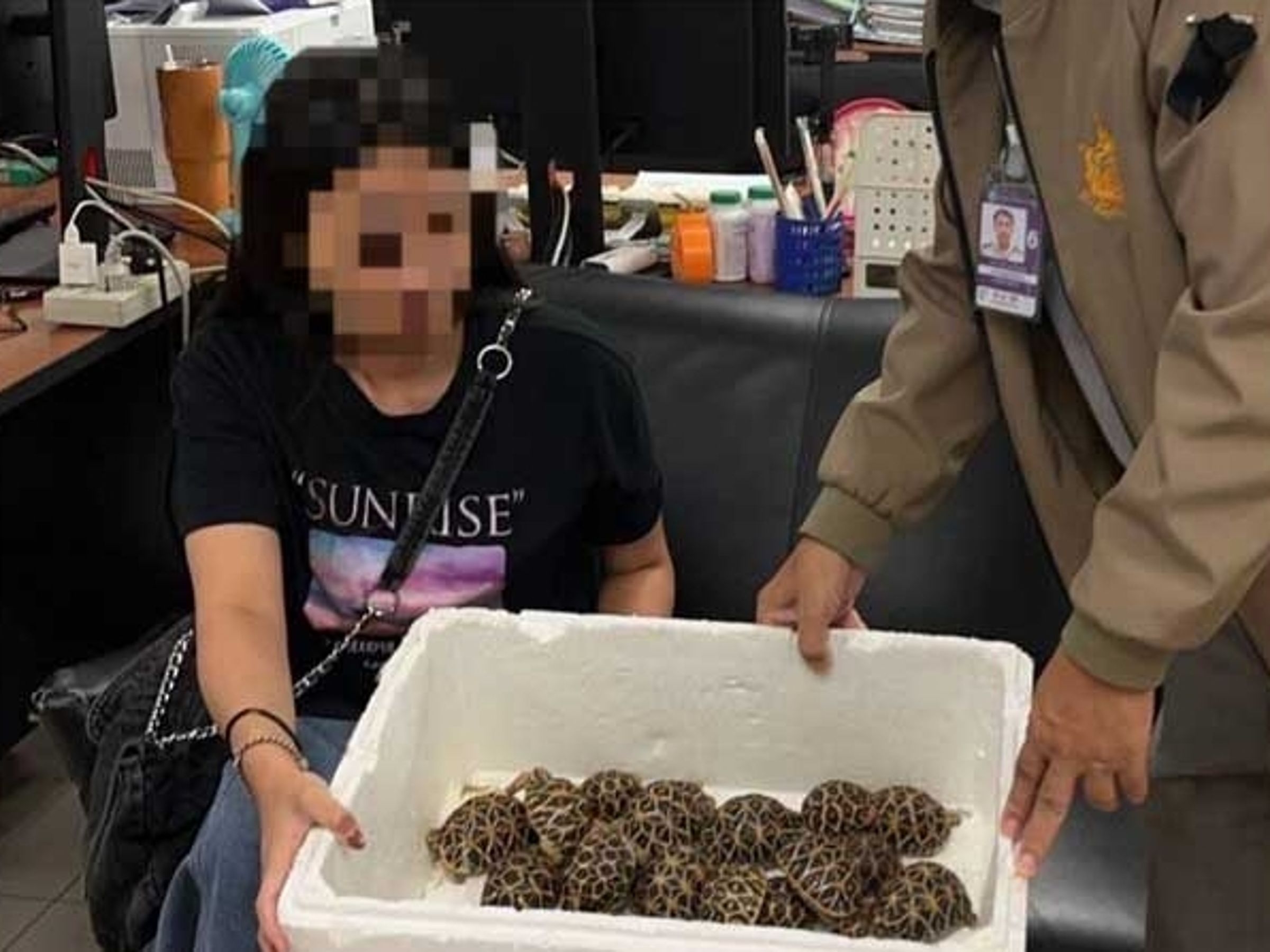 1名年僅19歲的台灣女子,企圖將30隻高價值且受國際公約保護的「印度星龜」非法夾帶出境。(翻攝自khaosod)