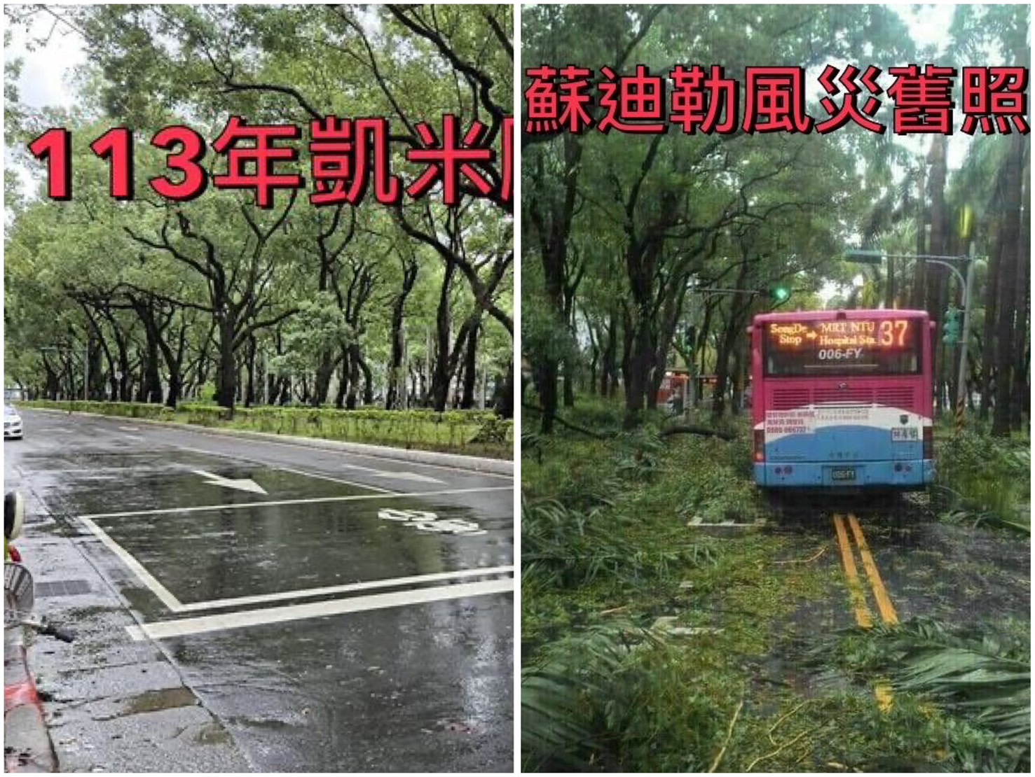 左為仁愛路今日照片；右為2016年蘇迪勒颱風致災舊照。（公園處提供）