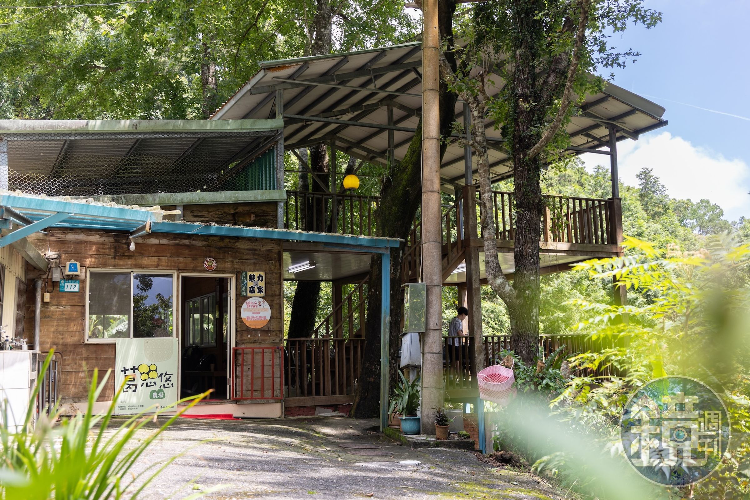 葛思悠農場原是荒廢梯田，如今是一座保存泰雅文化、山林香氣的農園。