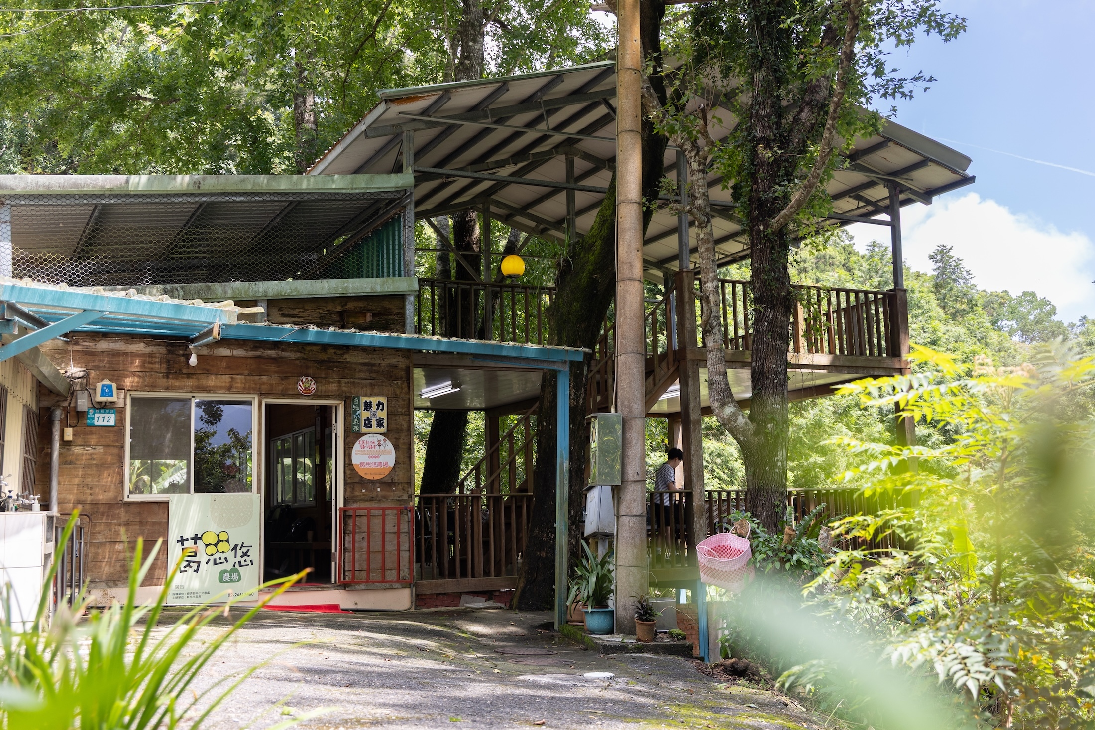 葛思悠農場原是荒廢梯田,如今是一座保存泰雅文化、山林香氣的農園。