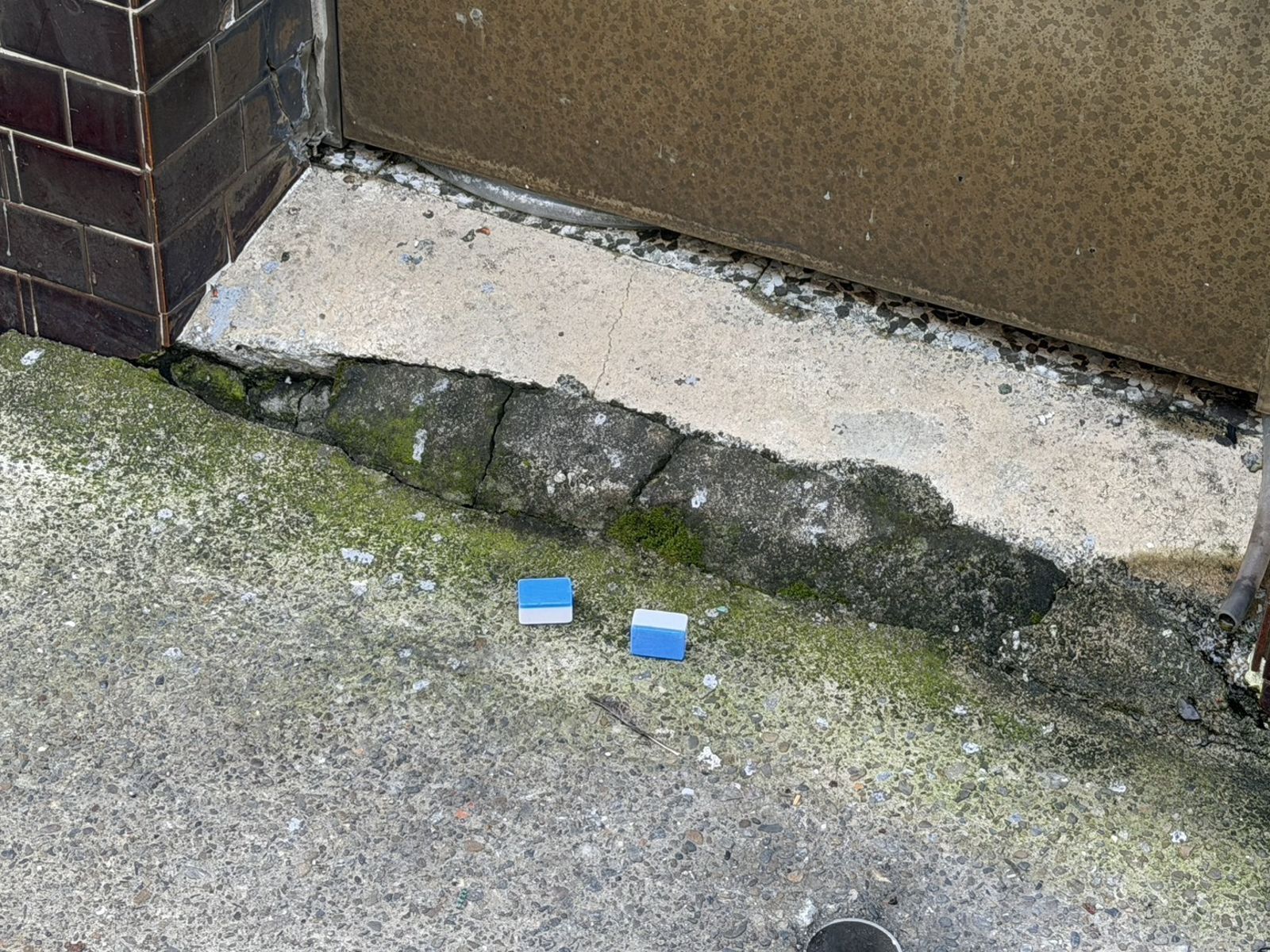 沒牌品?婦人走路險被「麻將雨」砸中 丟牌人慘了警方要查
