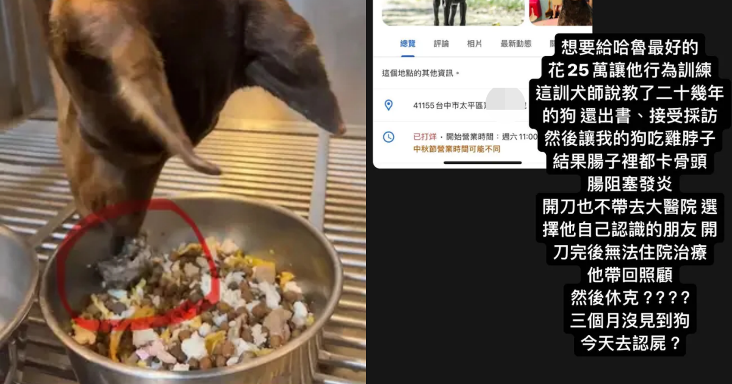 一名飼主將自家杜賓犬送去訓犬學校,花了25萬學費卻換來愛犬的屍體。(翻攝自Dcard)
