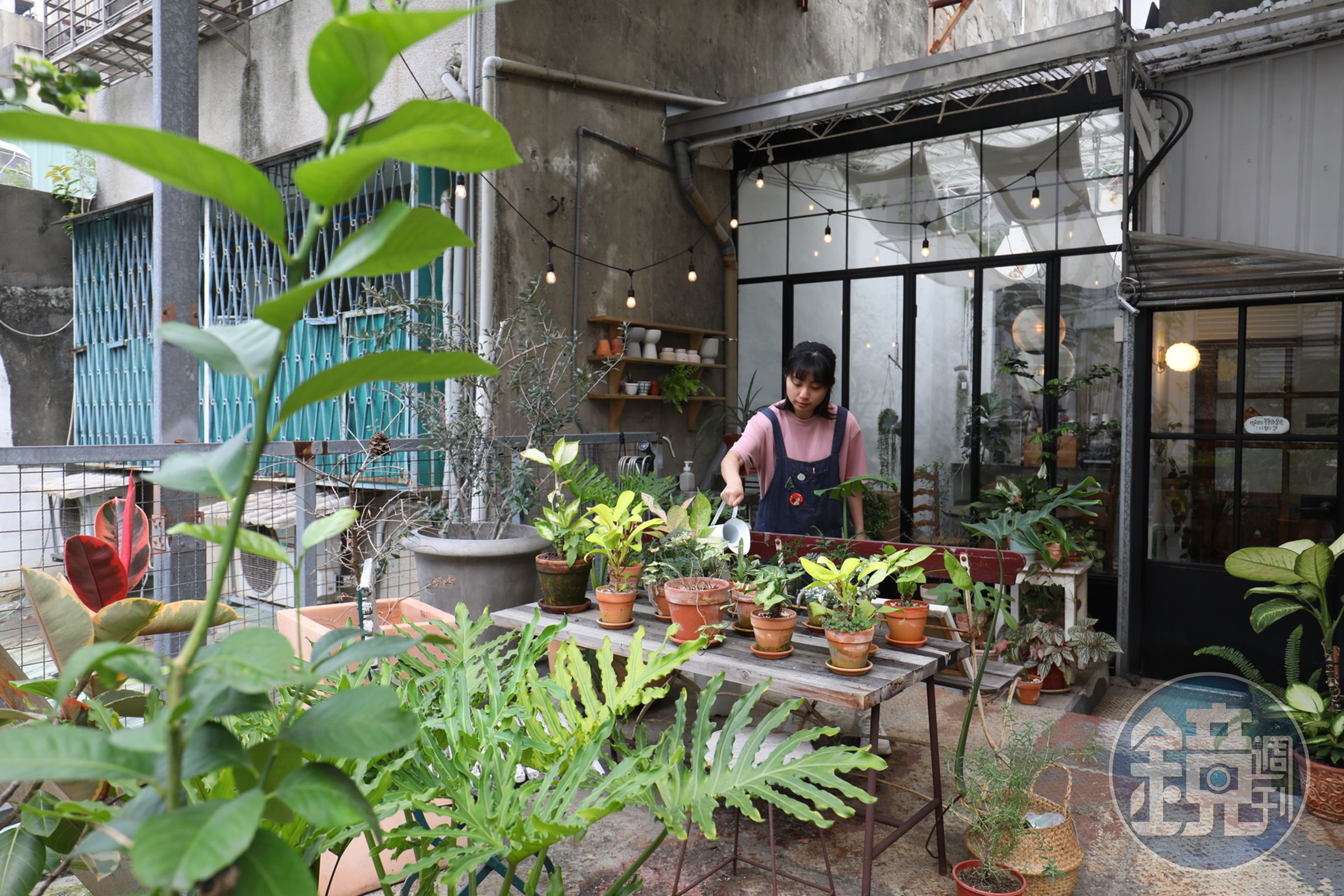 每天細心的關照植物也是店裡員工主要工作之一。