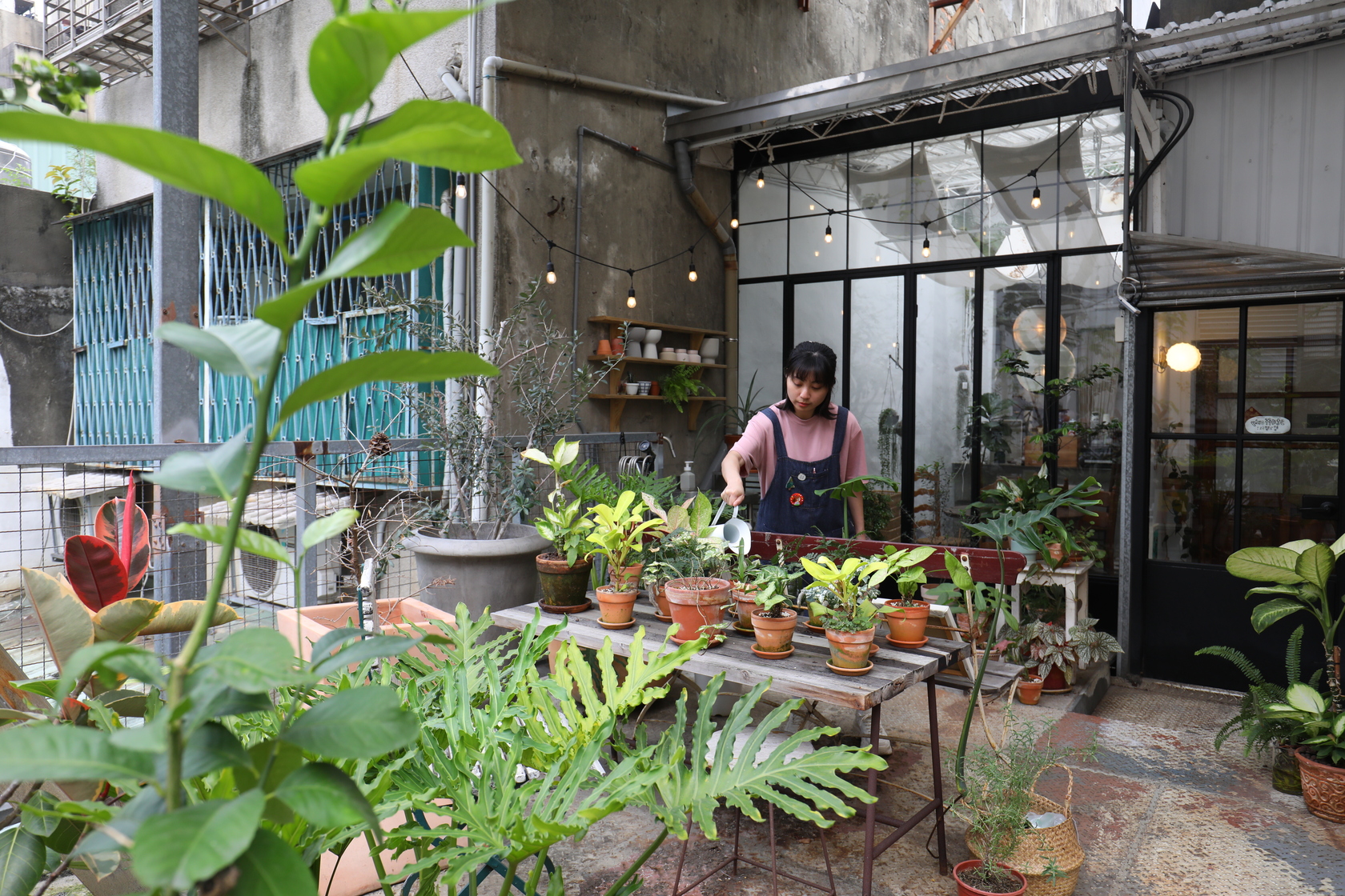 每天細心的關照植物也是店裡員工主要工作之一。
