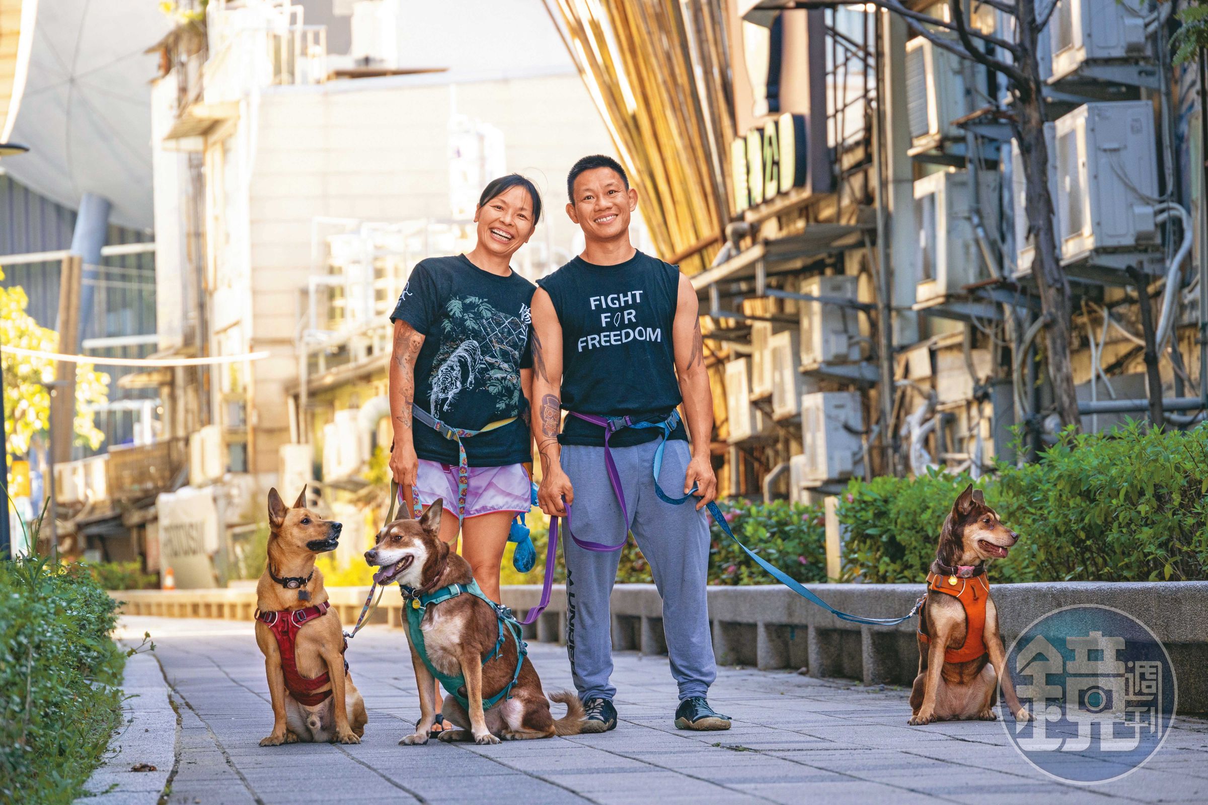 湯偉雄夫婦在台灣經歷跟蹤騷擾、潑漆威脅，仍選擇在台北紮根。他們在被潑漆與散發威脅傳單的工作室附近重新開業，繼續投入工作、倡議與生活。