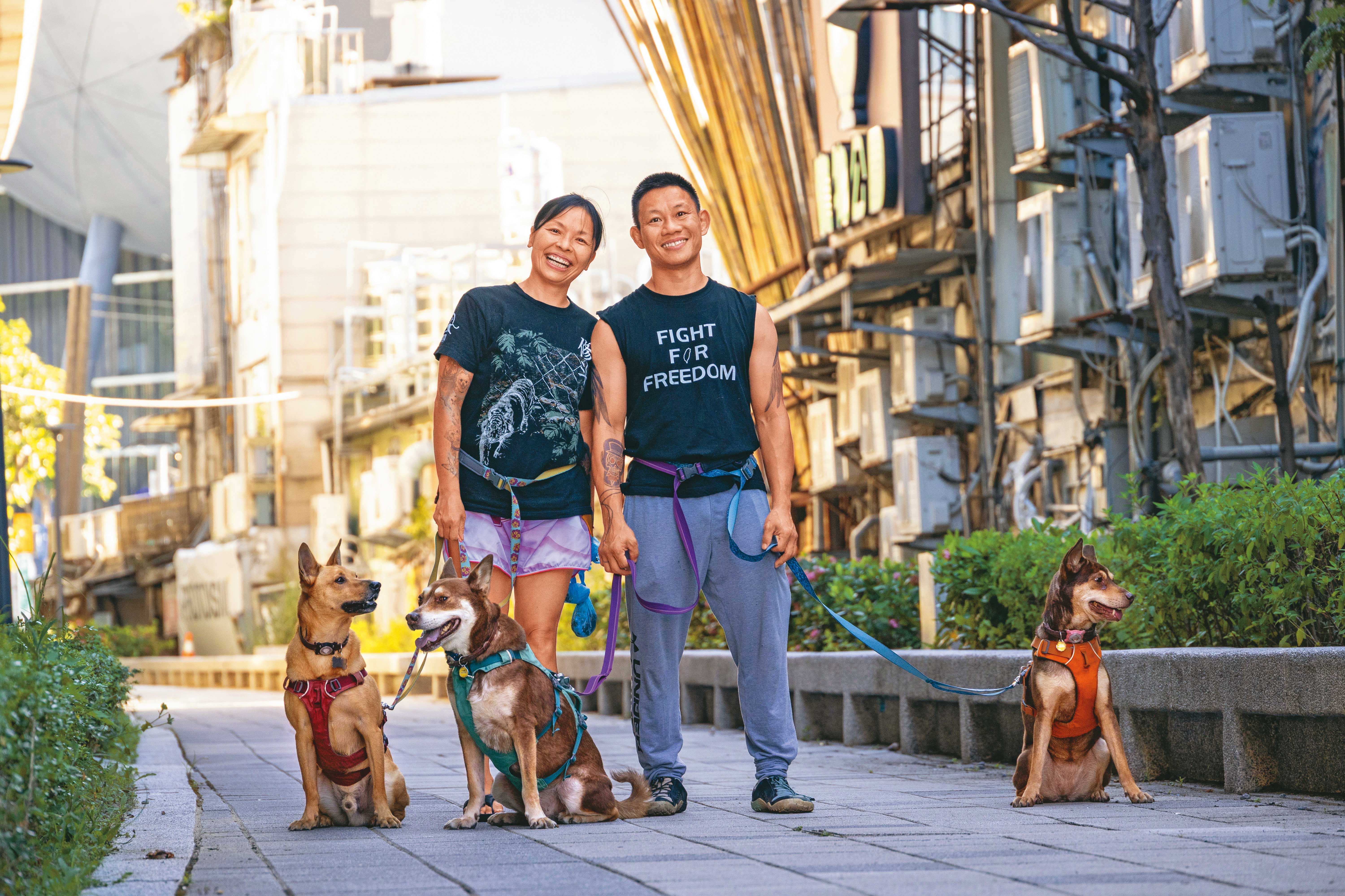 湯偉雄夫婦在台灣經歷跟蹤騷擾、潑漆威脅，仍選擇在台北紮根。他們在被潑漆與散發威脅傳單的工作室附近重新開業，繼續投入工作、倡議與生活。