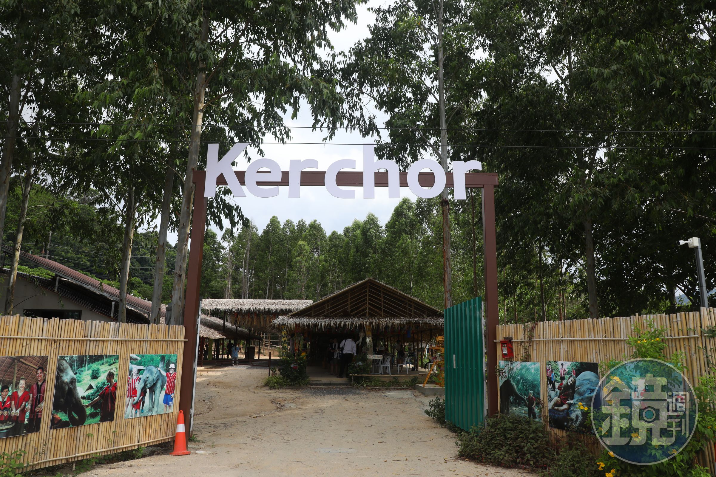 「Kerchor Elephant Family Phuket」是一座大象退休園地與保護區。