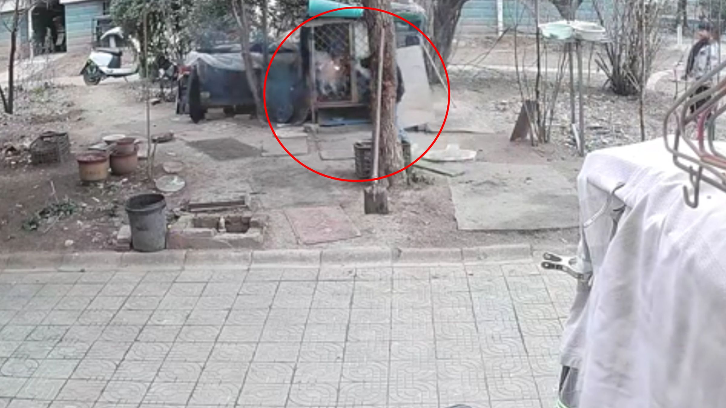 畫面可見，1名男童將煙火伸入狗籠內。（翻攝飼主微博）
