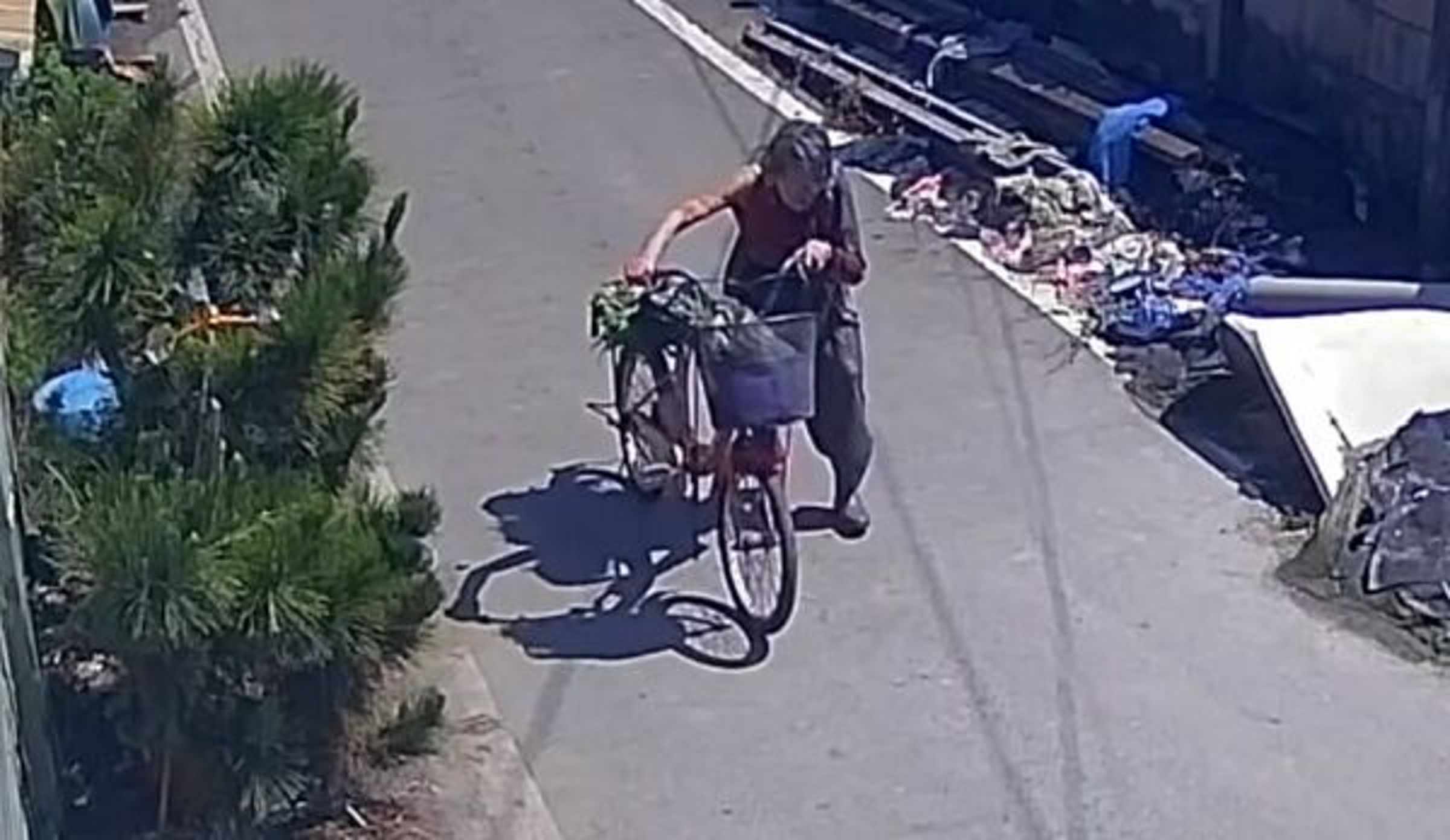 彰化一名阿嬤遭多條犬隻攻擊後，忍痛牽車回家求援。（翻攝畫面）