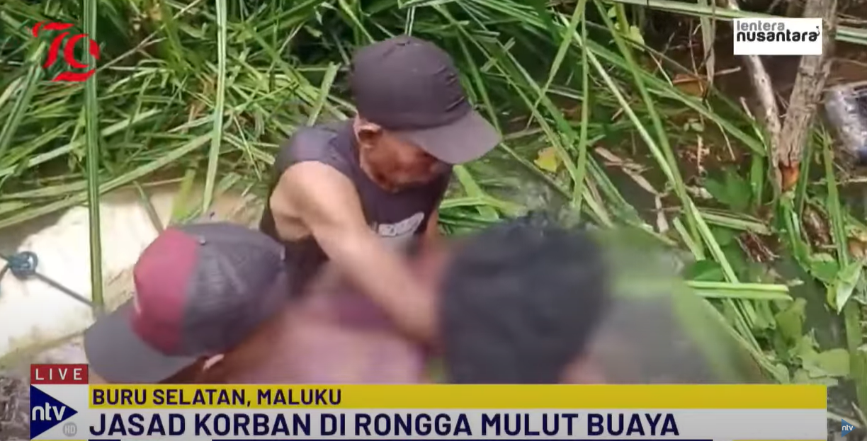 鄉民殺鱷取屍。（翻自 Nusantara TV）