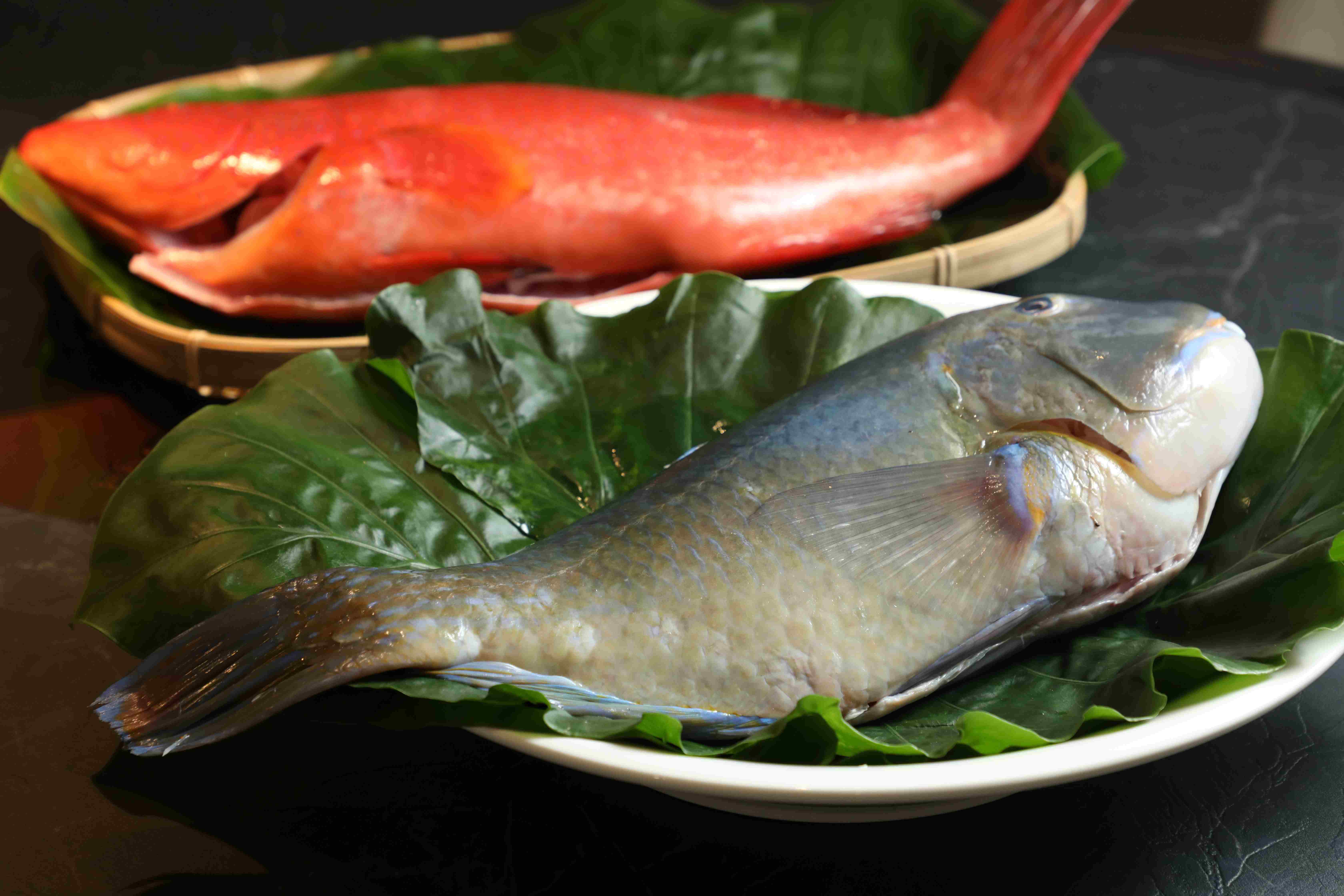 因為股東有澎湖海鮮貨源,所以可取得極新鮮的現流魚貨。