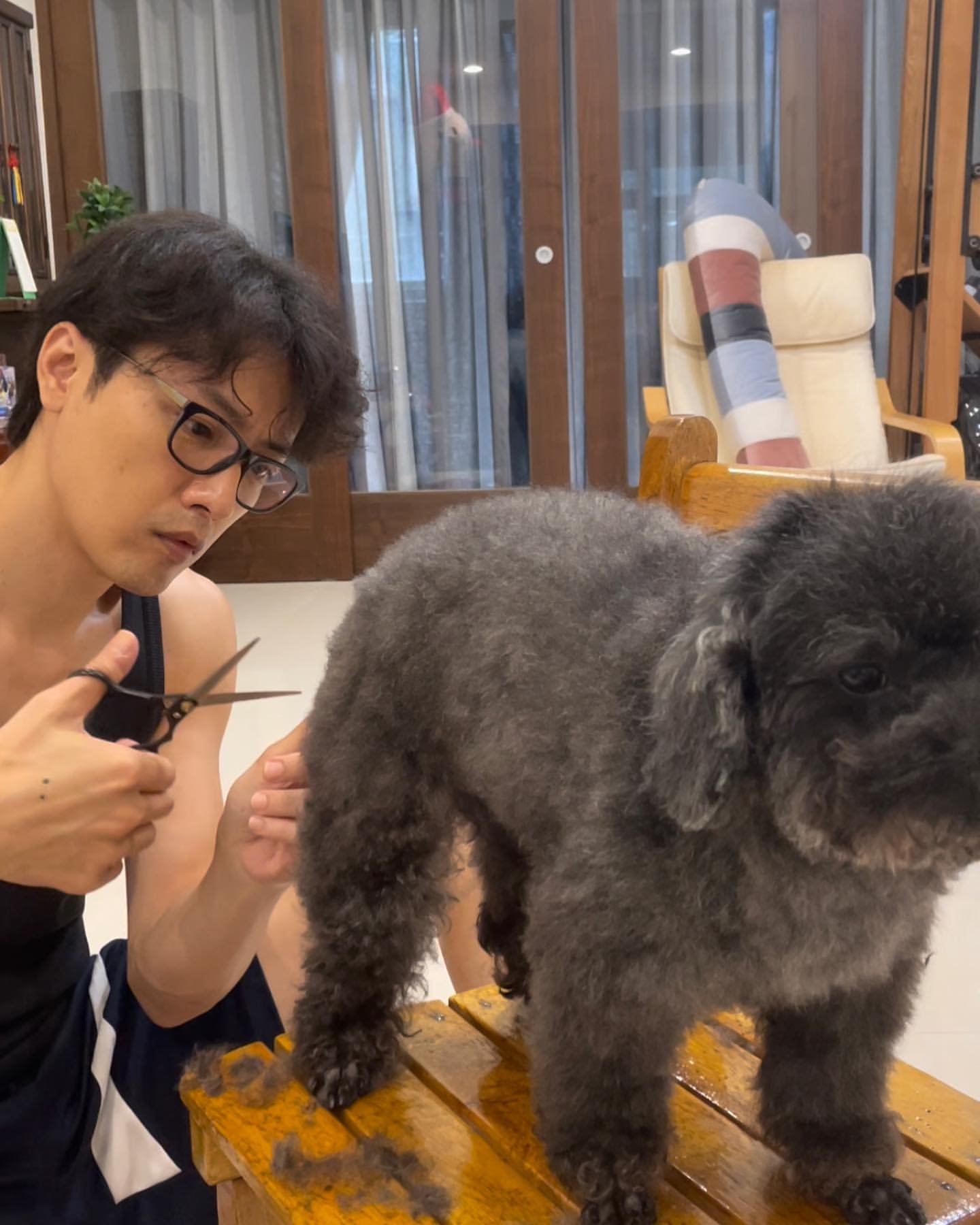 吳政勳對莫莫疼愛非常,就連洗澡剪毛也親自動手。(翻攝吳政勳IG)