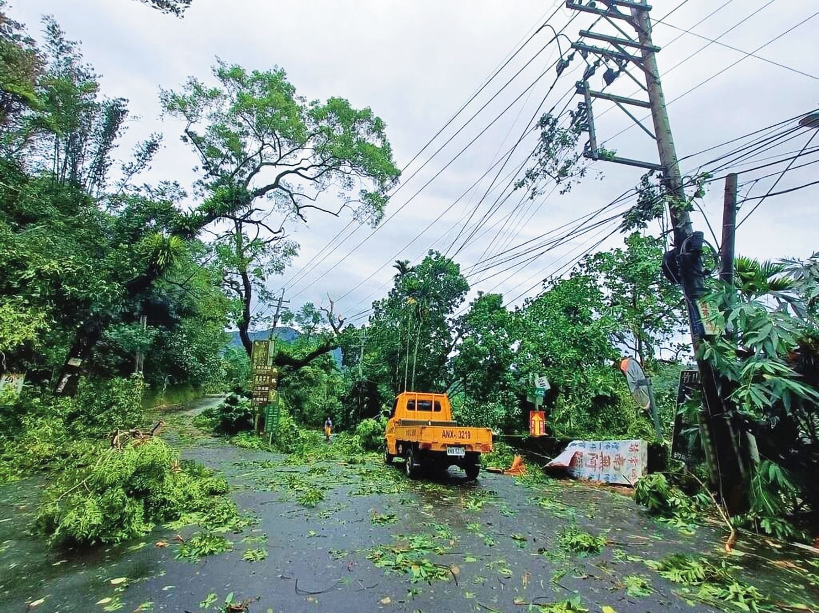 颱風造成南投多處樹倒、扯斷電線桿，嚴重影響供電。（台電公司南投區處提供）