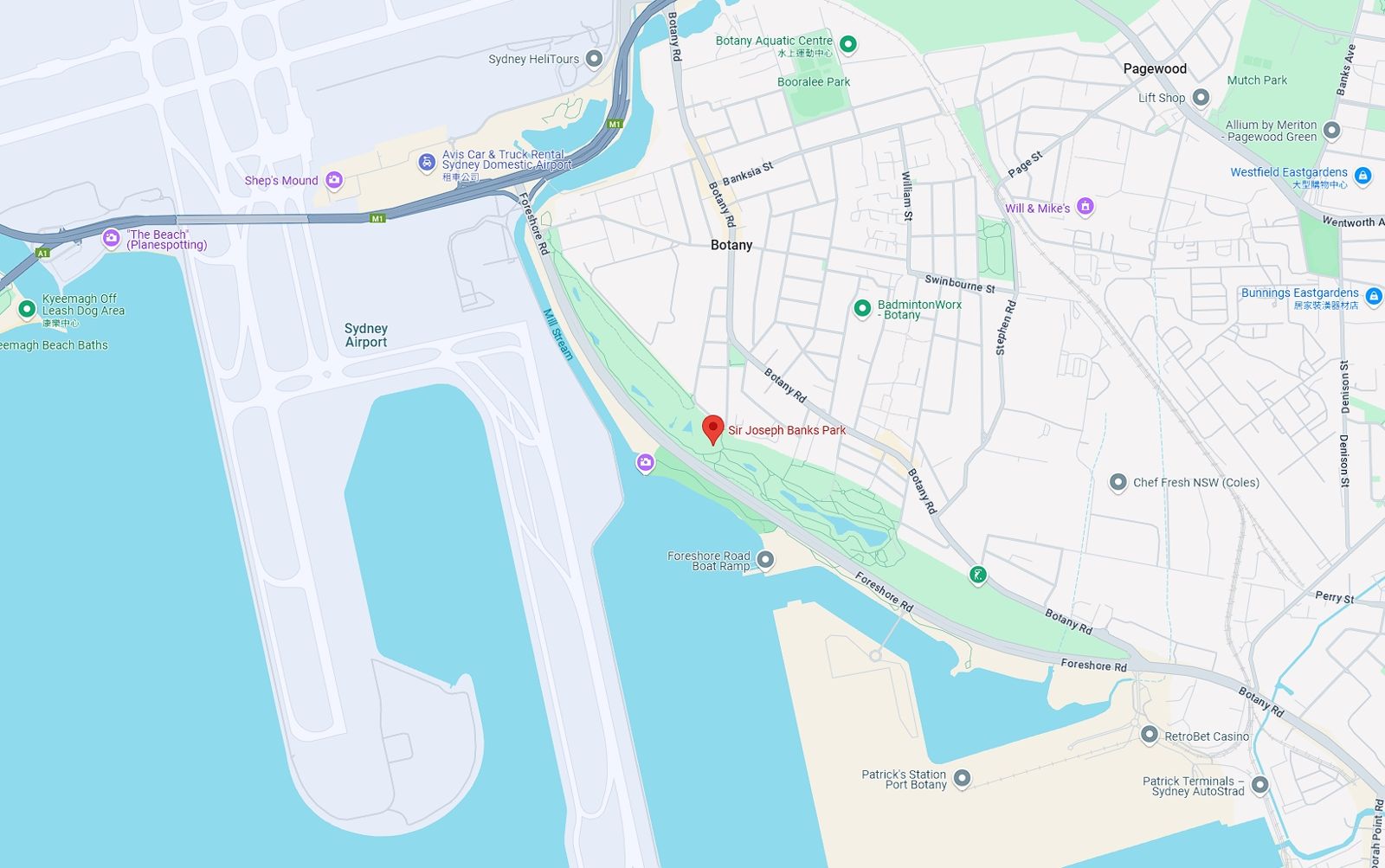 李女被發現陳屍在公園草叢中,該處臨近雪梨機場。(翻攝自Google Maps)