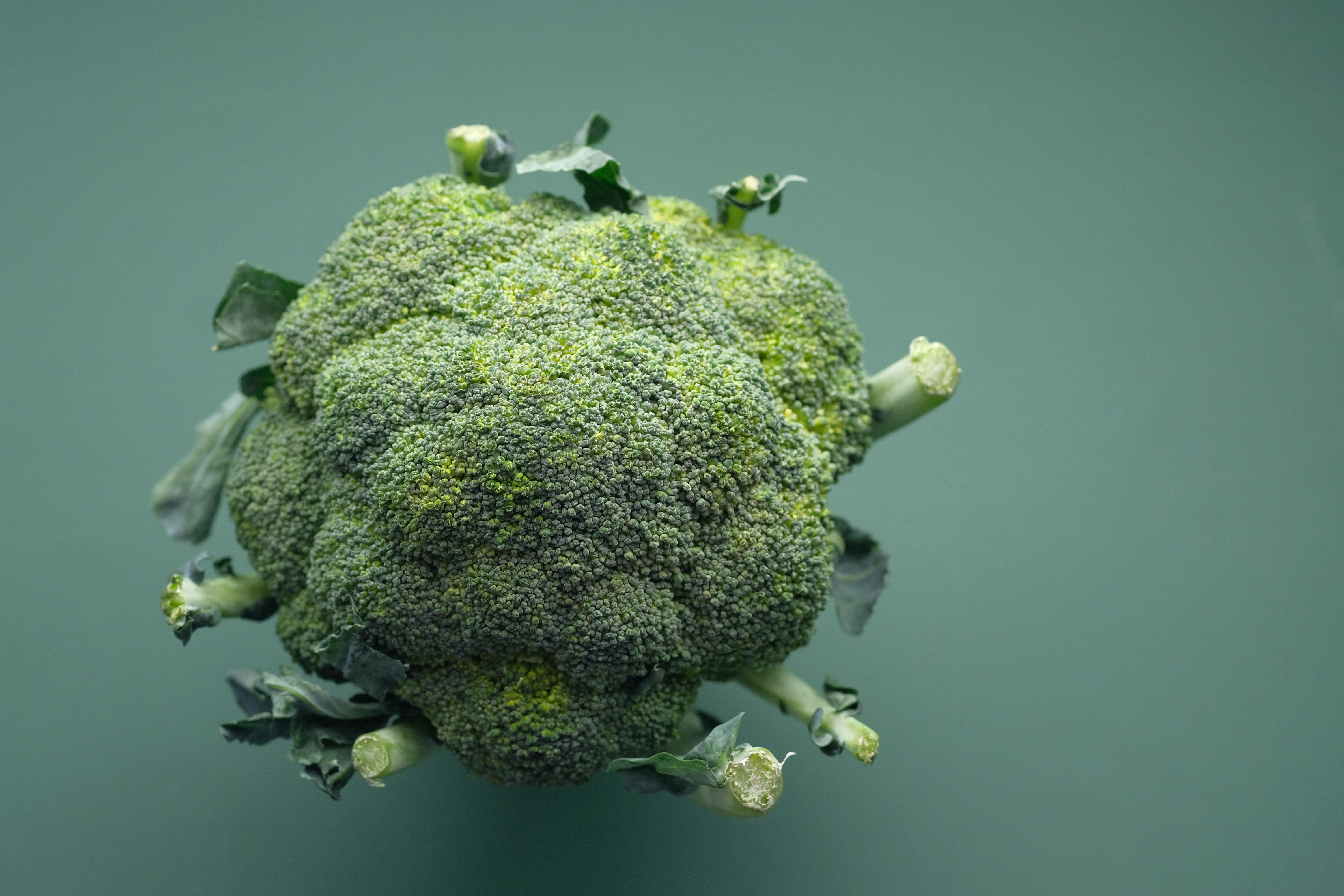 菜花(尖銳濕疣)可能透過親密的皮膚、黏膜接觸傳染。(示意圖,取自pexels)