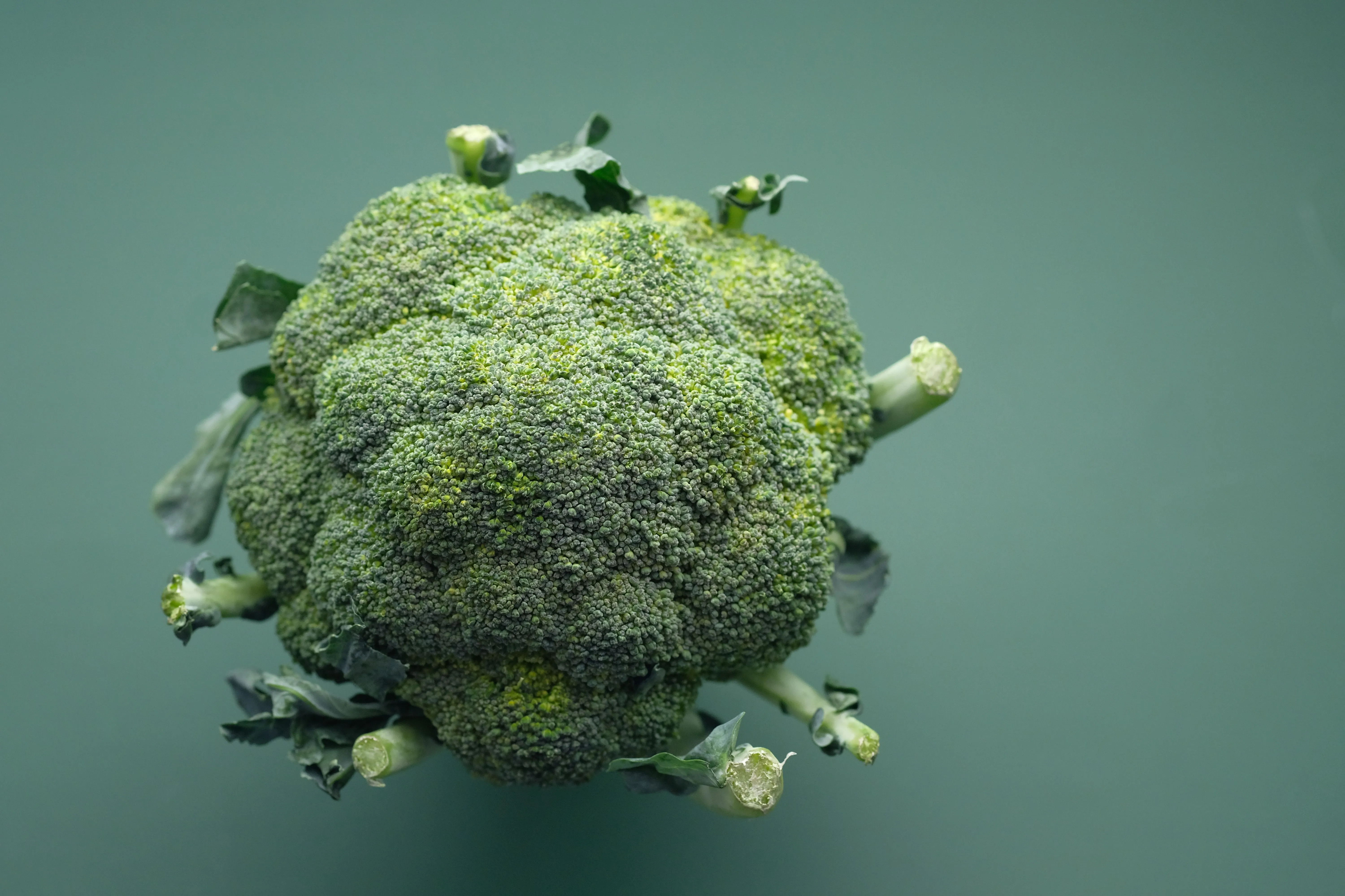 菜花（尖銳濕疣）可能透過親密的皮膚、黏膜接觸傳染。（示意圖，取自pexels）