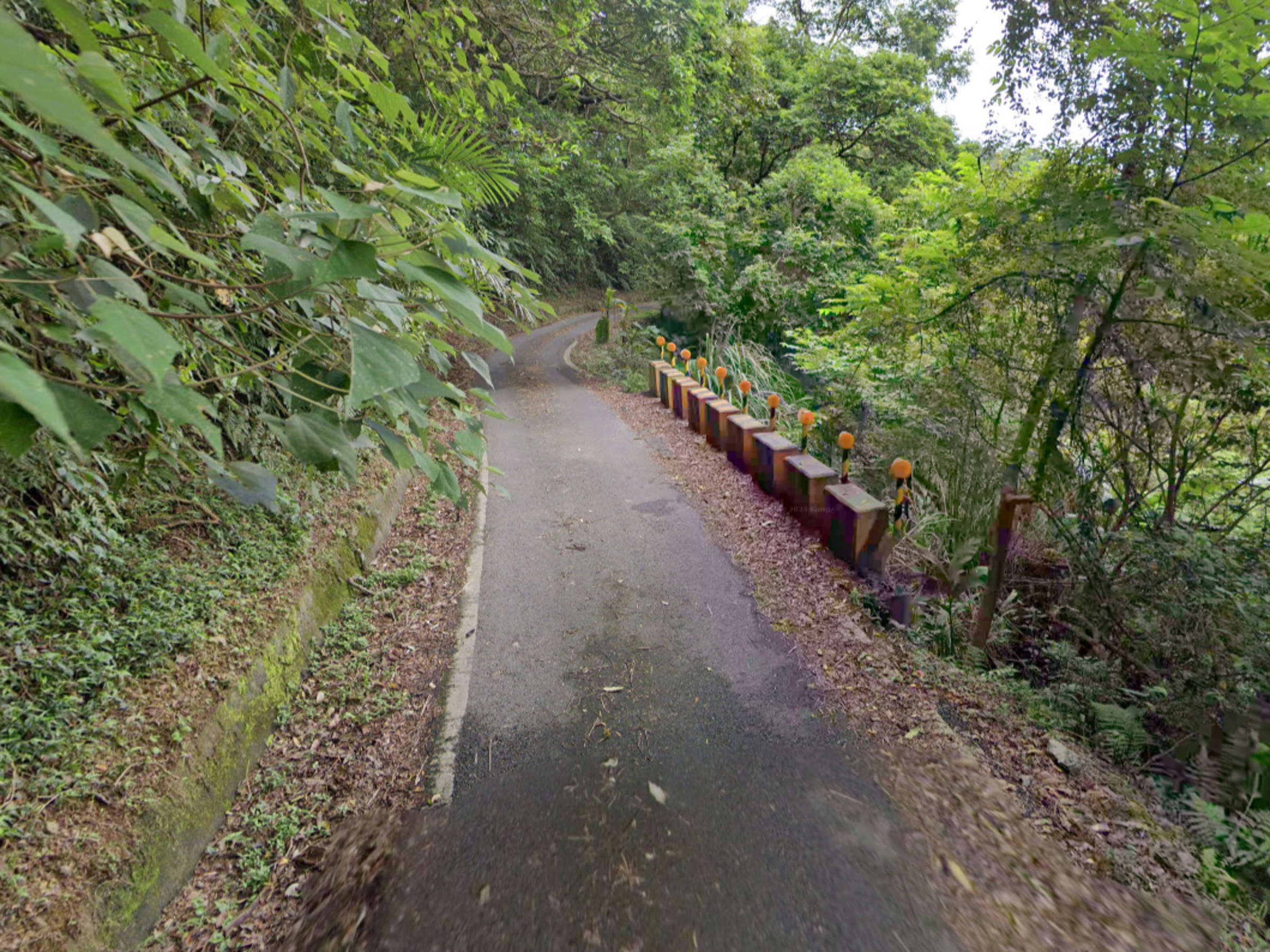 新竹男子因債務糾紛遭數人毆打致死,7嫌行凶後棄屍宜蘭山區。(翻攝畫面)