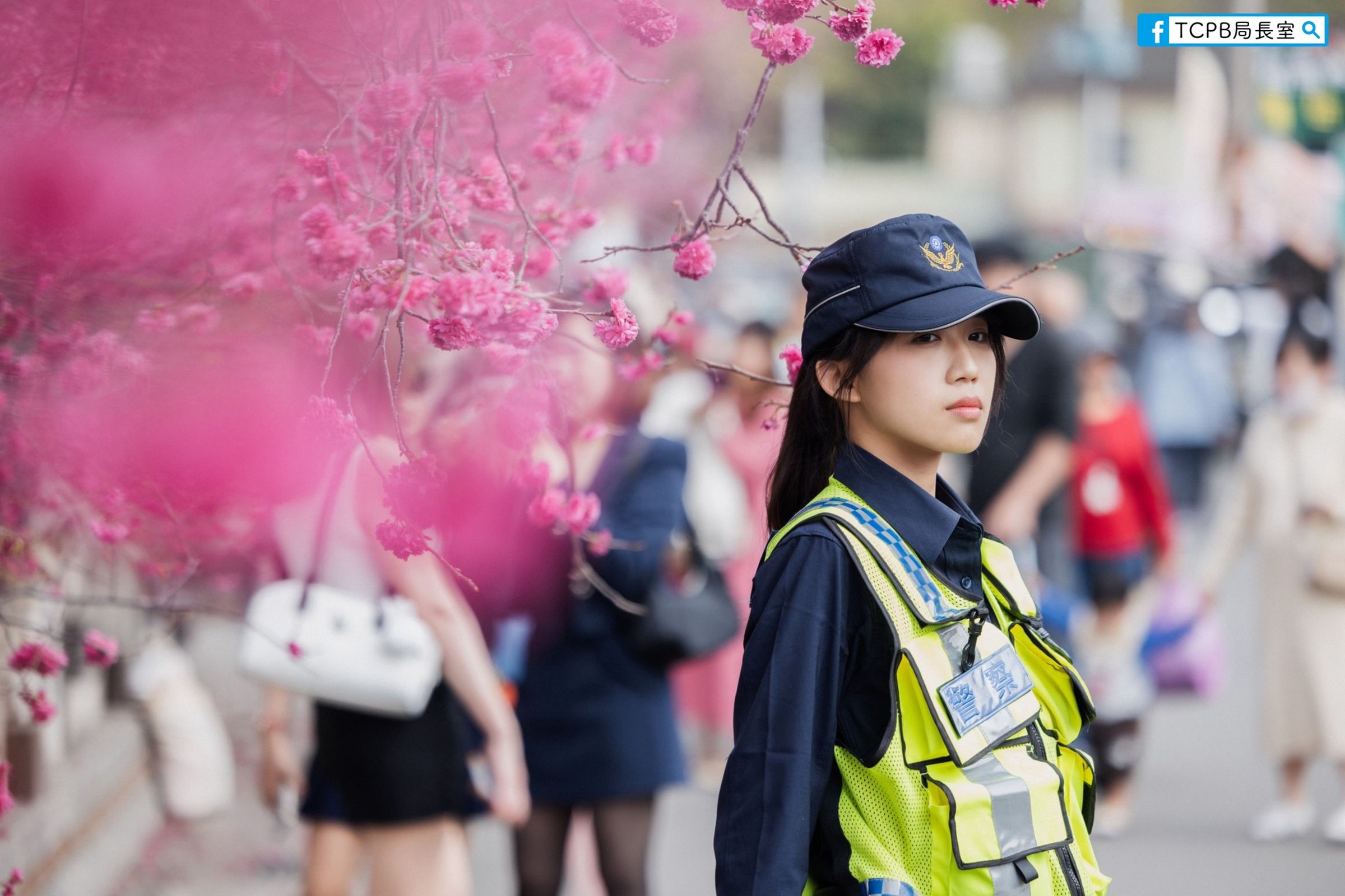 女警站在櫻花樹下值勤,有網友盛讚人比花嬌。(翻攝臉書粉專「TCPB 局長室」)