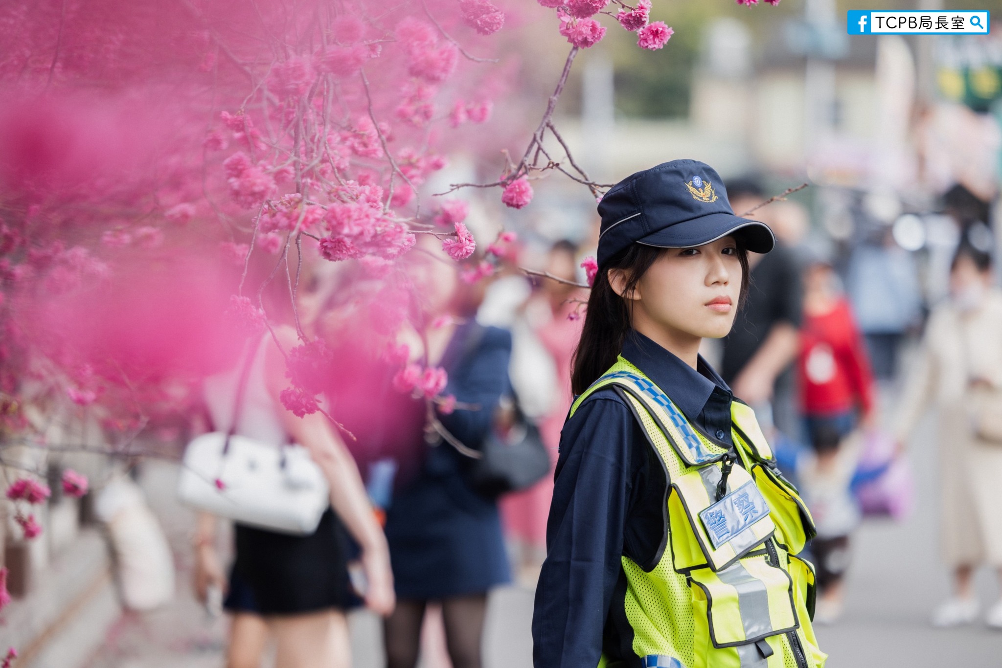 女警站在櫻花樹下值勤,有網友盛讚人比花嬌。(翻攝臉書粉專「TCPB 局長室」)