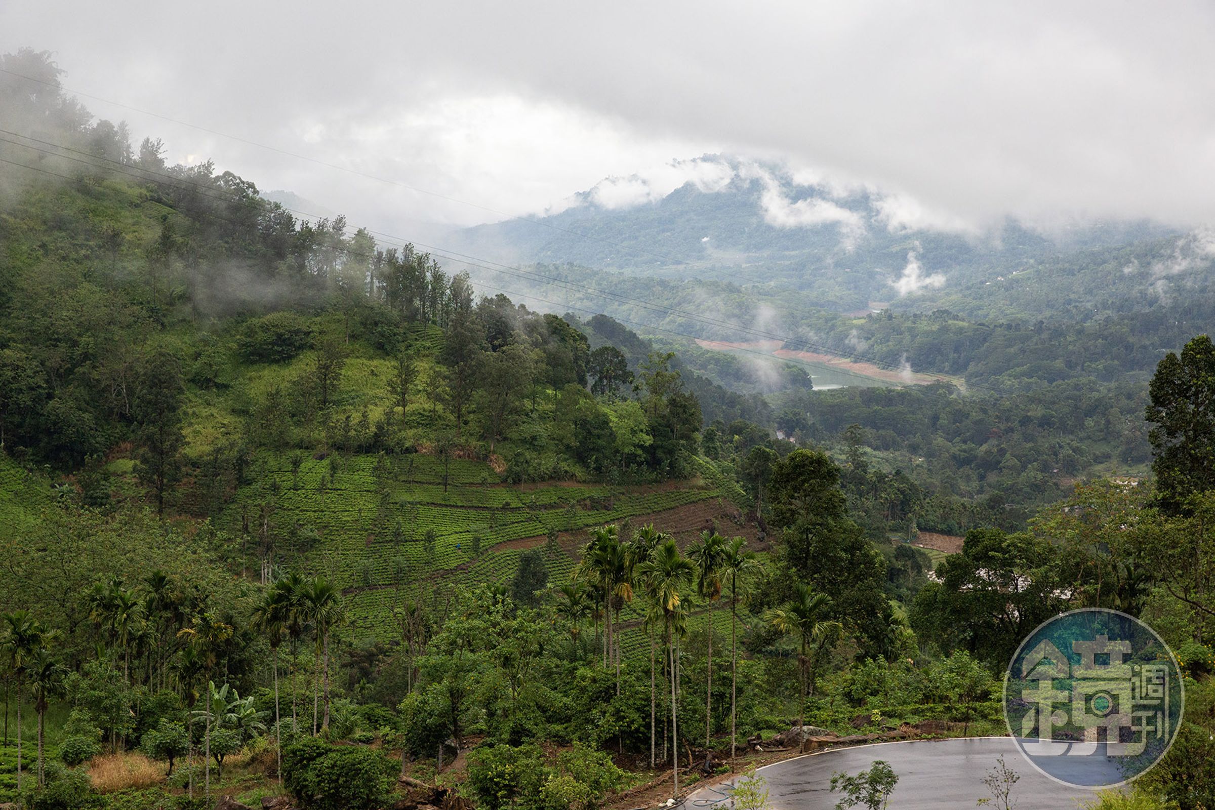 雲霧繚繞的努沃勒埃利耶(Nuwara Eliya),是斯里蘭卡七大茶產區中海拔最高的一區,雨水與冷涼氣候,成為錫蘭紅茶風味的重要養分。