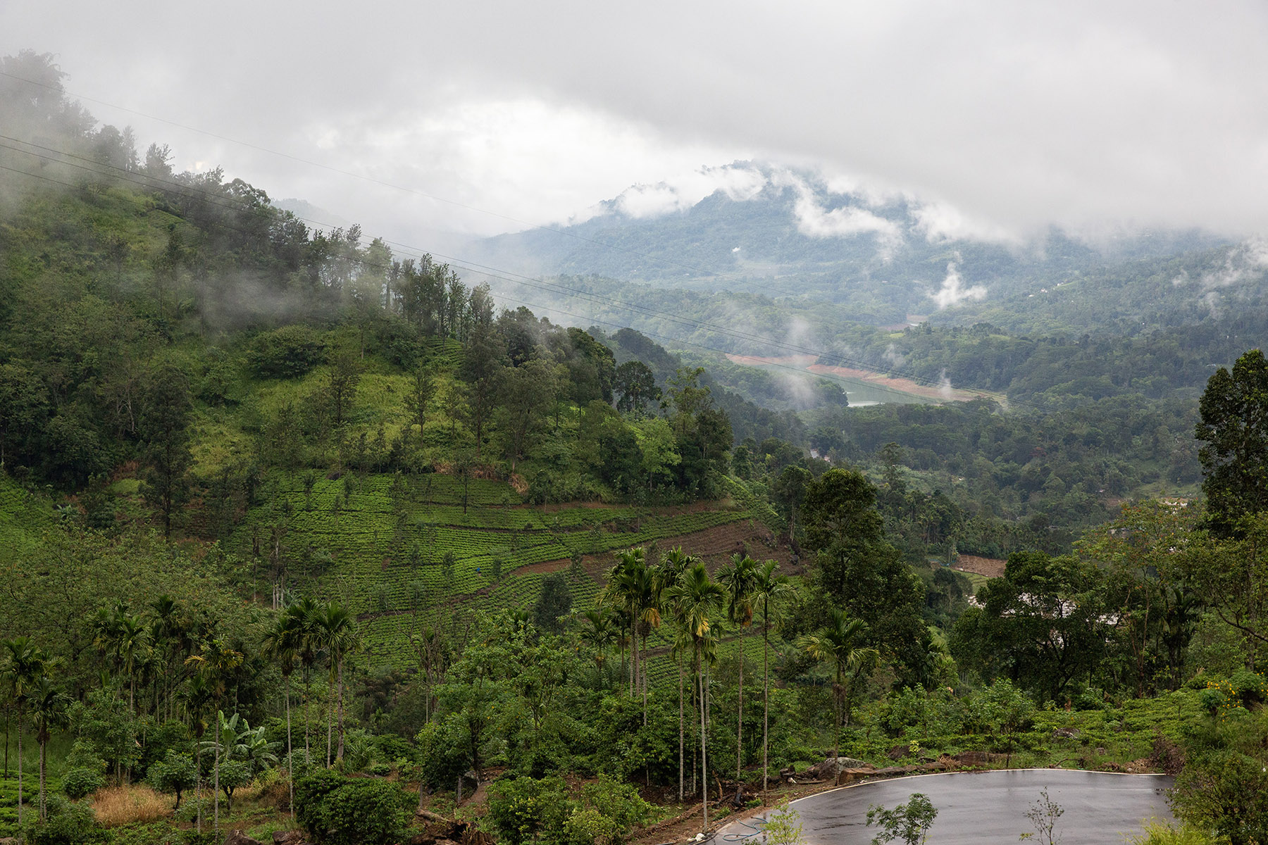 雲霧繚繞的努沃勒埃利耶（Nuwara Eliya），是斯里蘭卡七大茶產區中海拔最高的一區，雨水與冷涼氣候，成為錫蘭紅茶風味的重要養分。