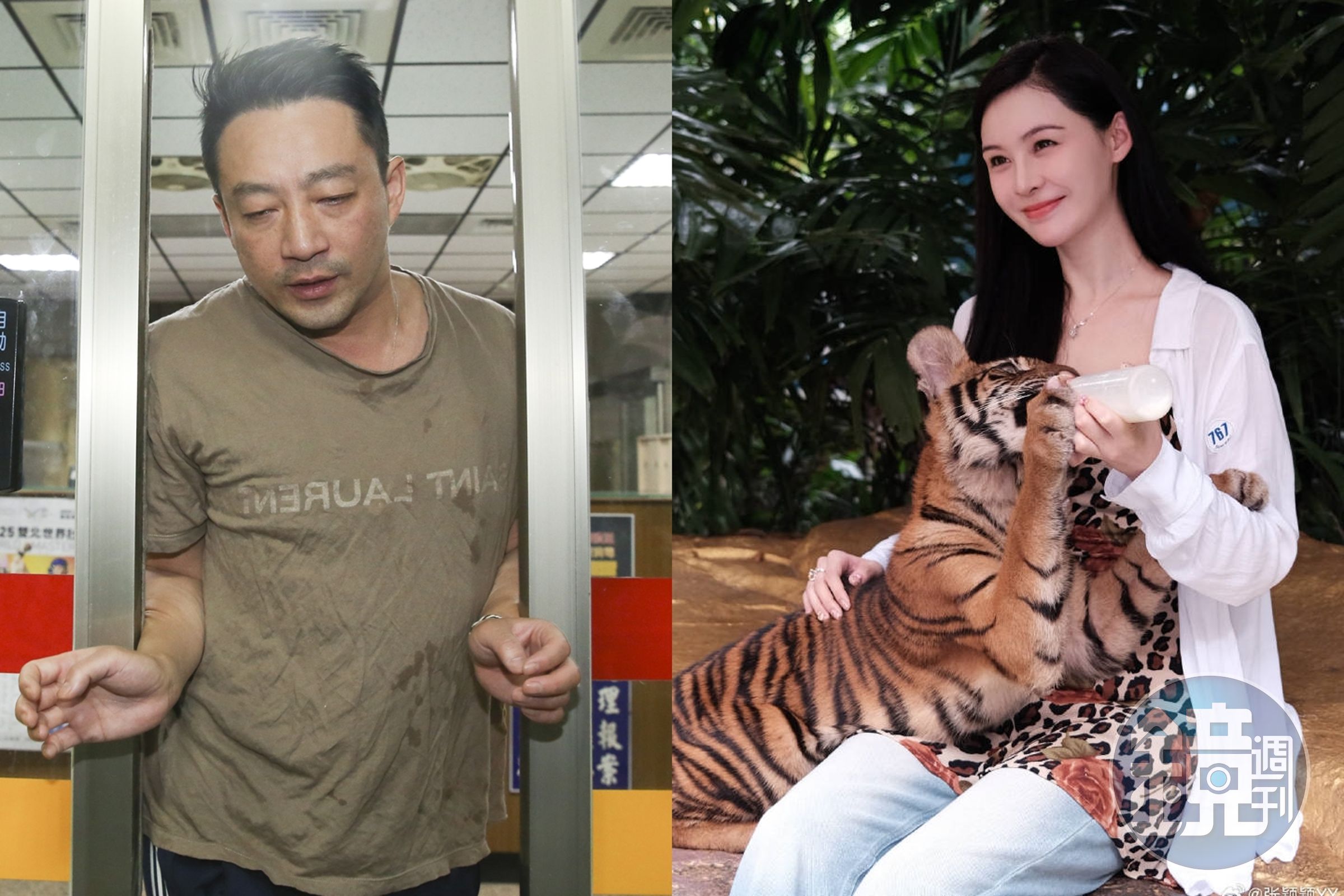 雖然當初大S與汪小菲離婚，張穎穎是其中的小三要角，但她千字文挺昔日的正宮、轟前男友。（翻攝網路、本刊資料照）